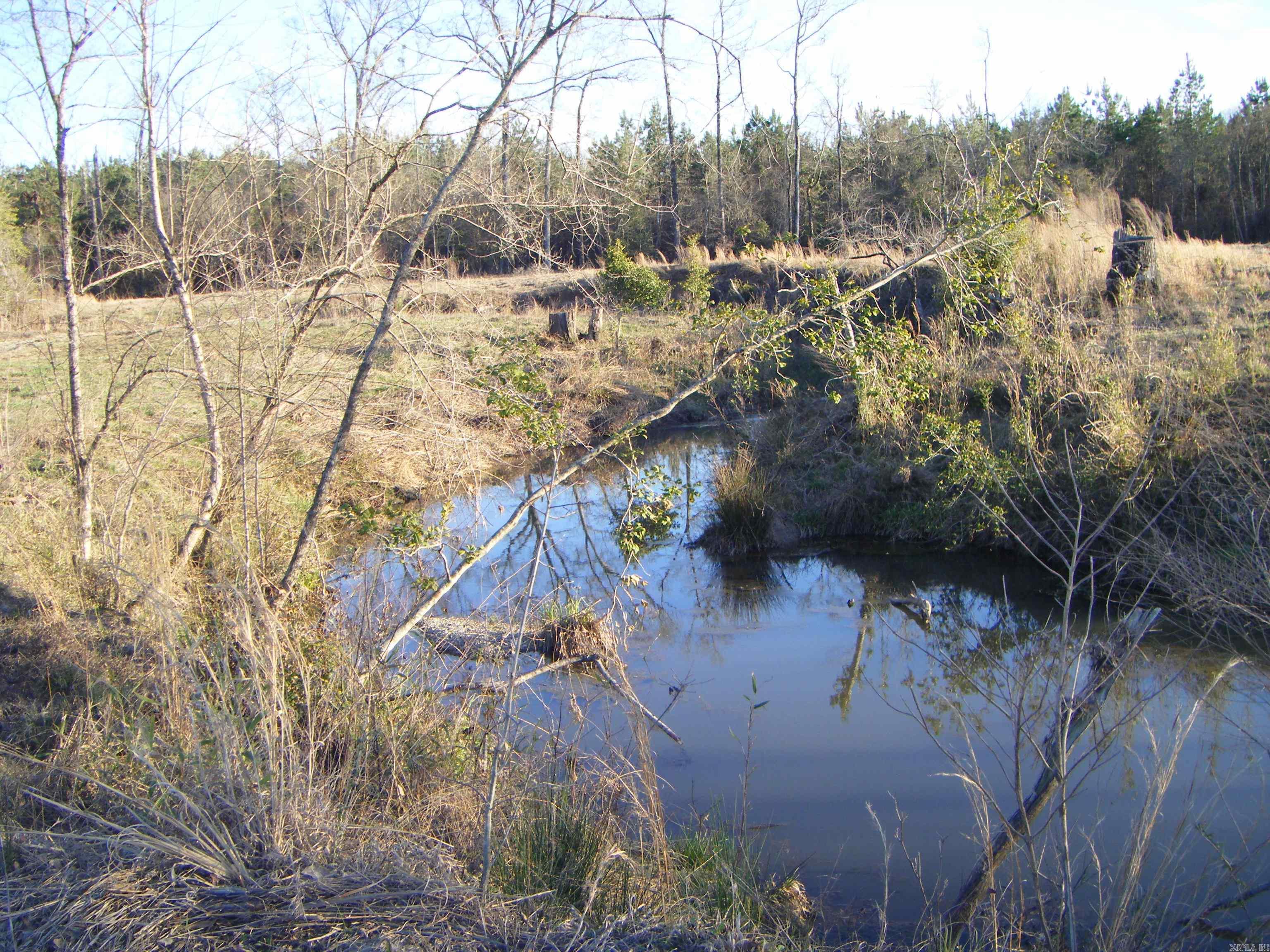 tbd 54.89 Acres N Hwy 53  Arkadelphia, AR