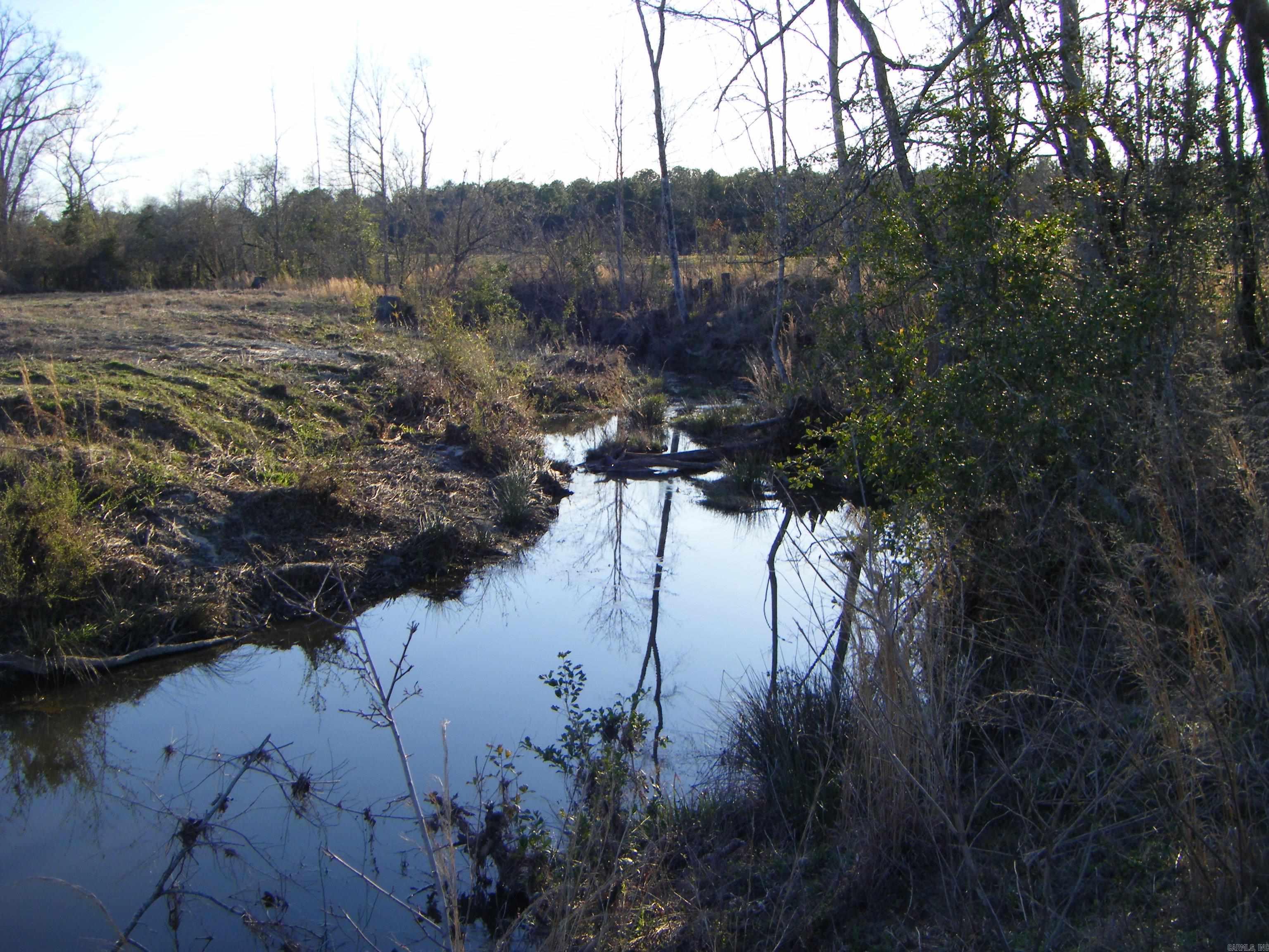 tbd 54.89 Acres N Hwy 53  Arkadelphia, AR