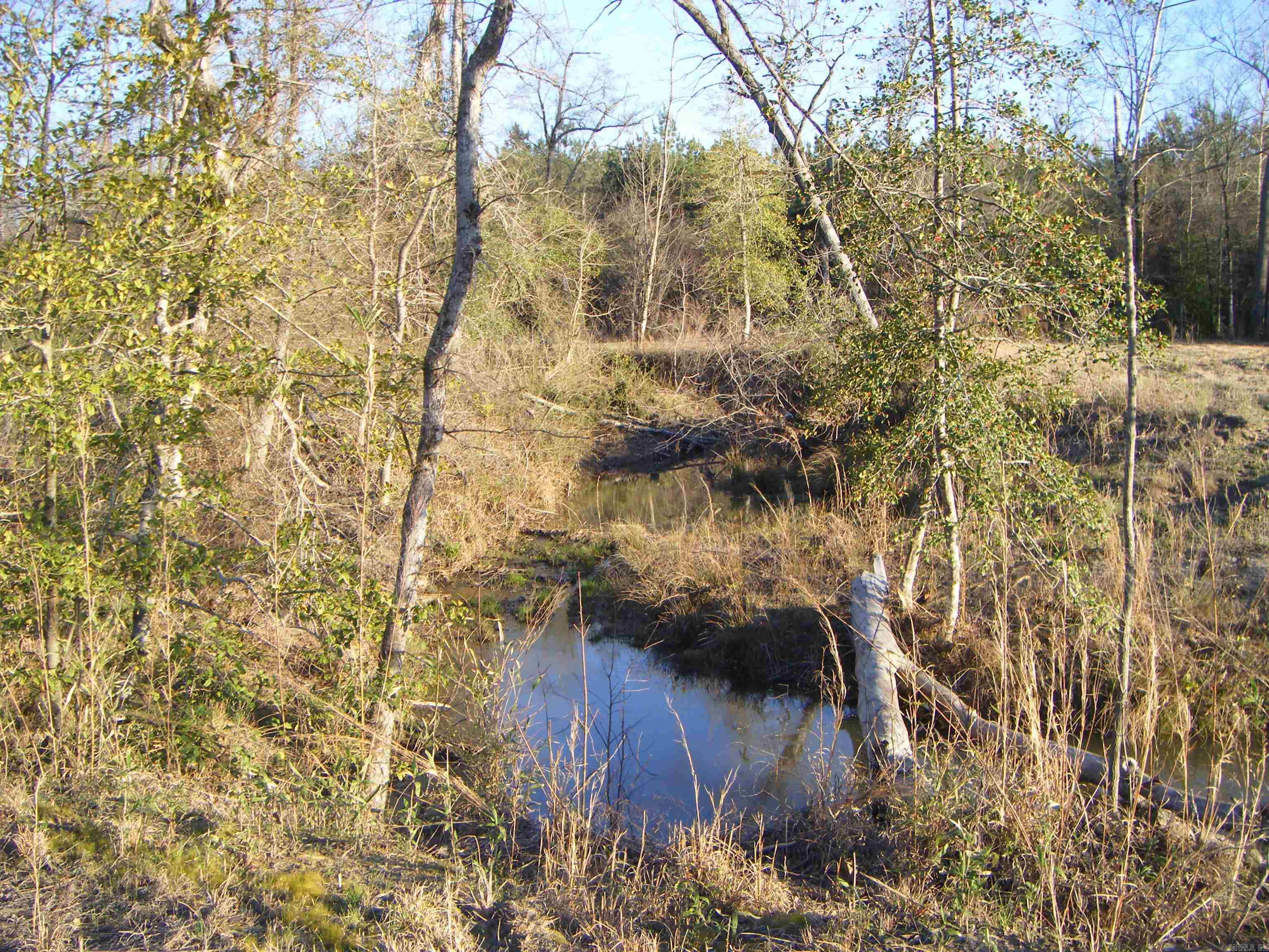 tbd 54.89 Acres N Hwy 53  Arkadelphia, AR