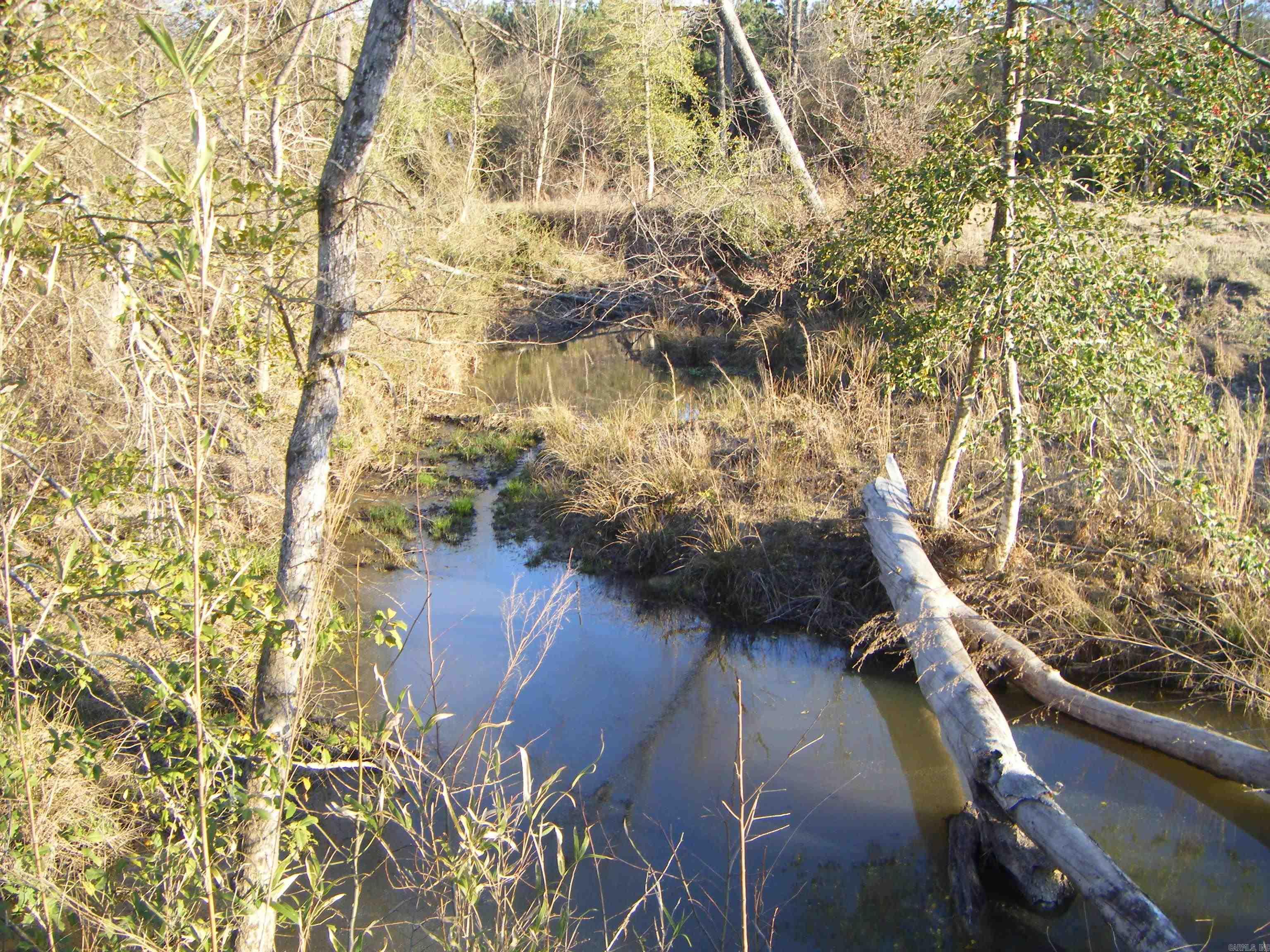 tbd 54.89 Acres N Hwy 53  Arkadelphia, AR