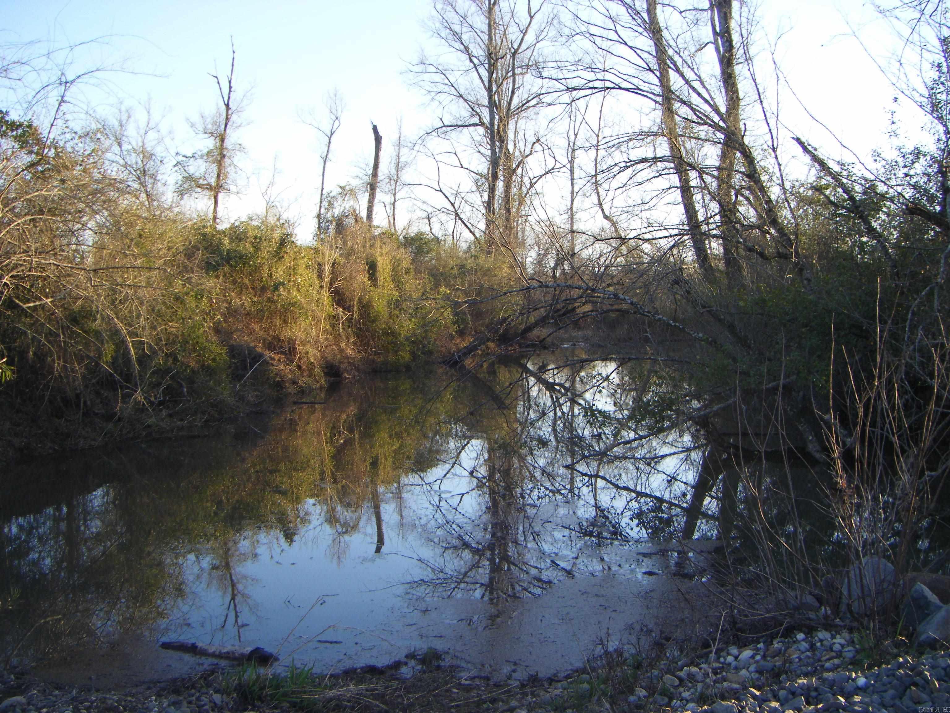 tbd 54.89 Acres N Hwy 53  Arkadelphia, AR