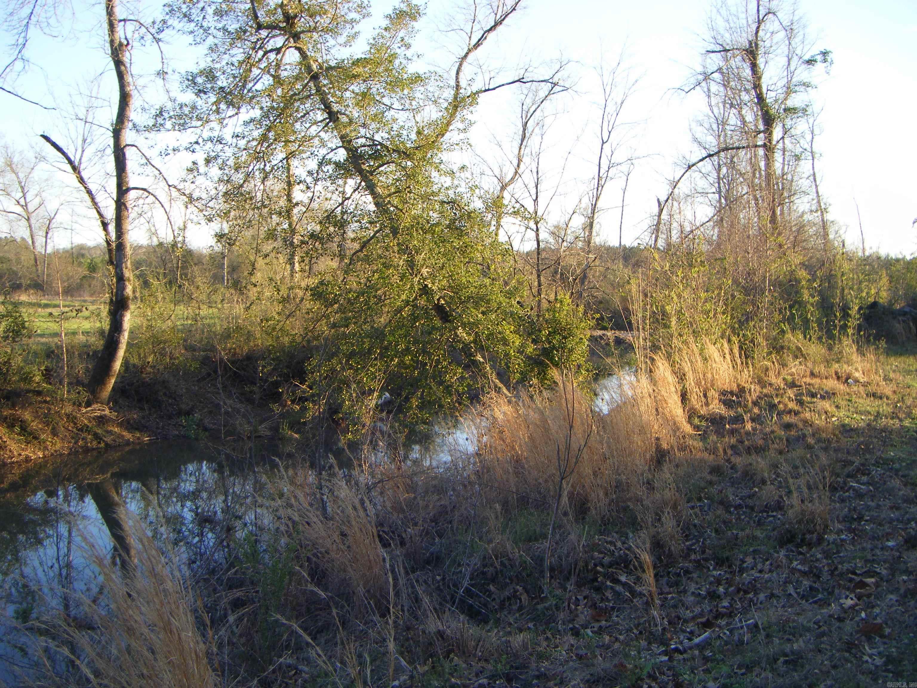 tbd 54.89 Acres N Hwy 53  Arkadelphia, AR