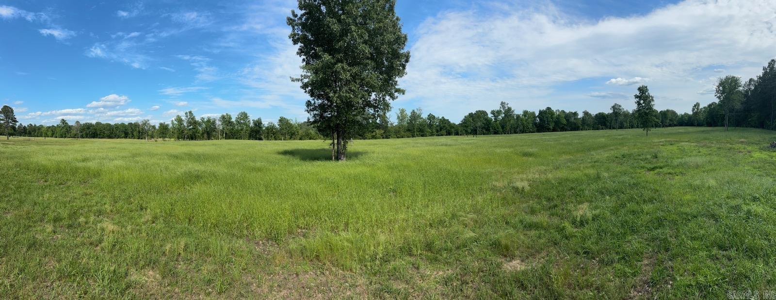tbd 54.89 Acres N Hwy 53  Arkadelphia, AR