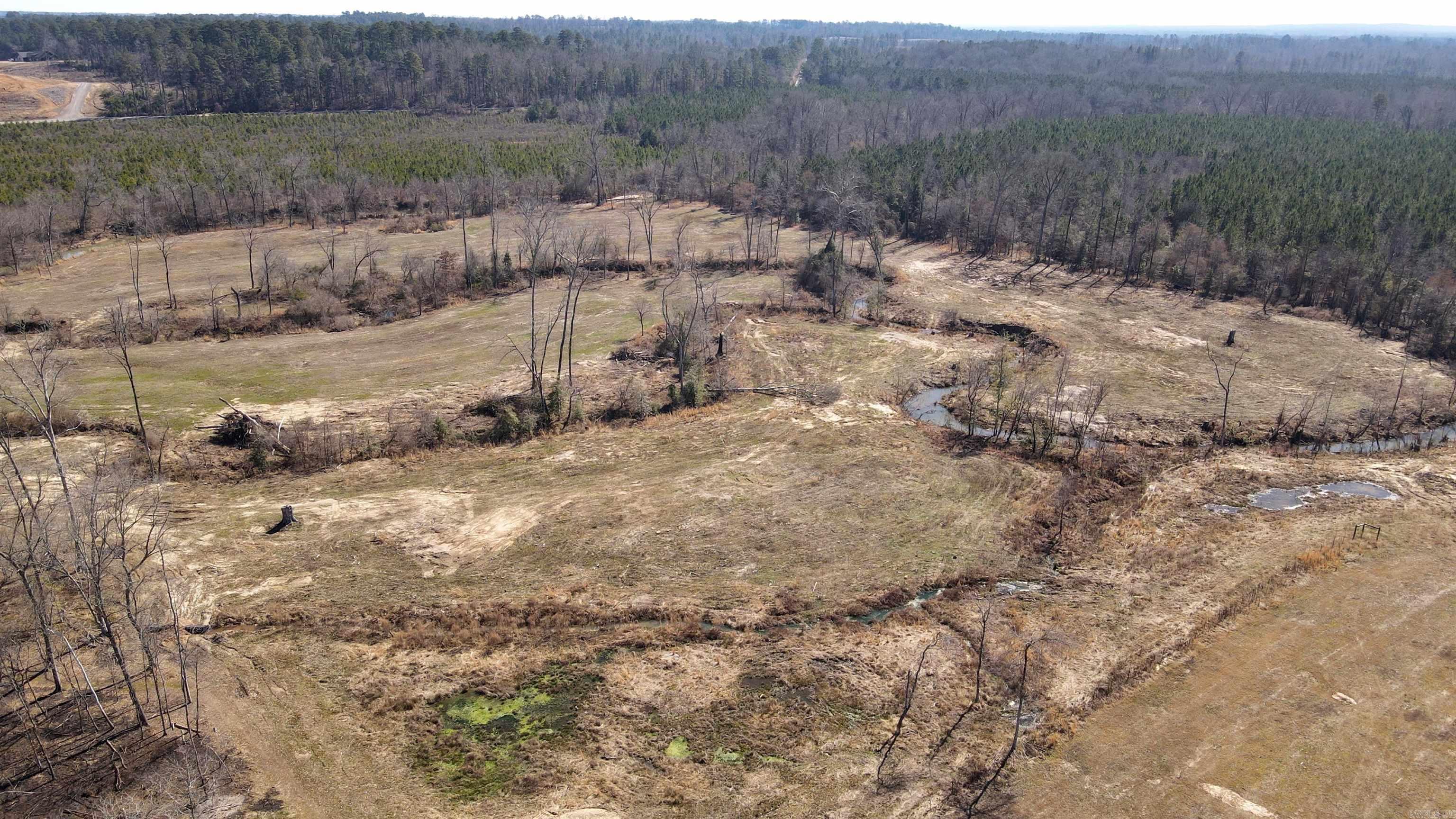 tbd 54.89 Acres N Hwy 53  Arkadelphia, AR