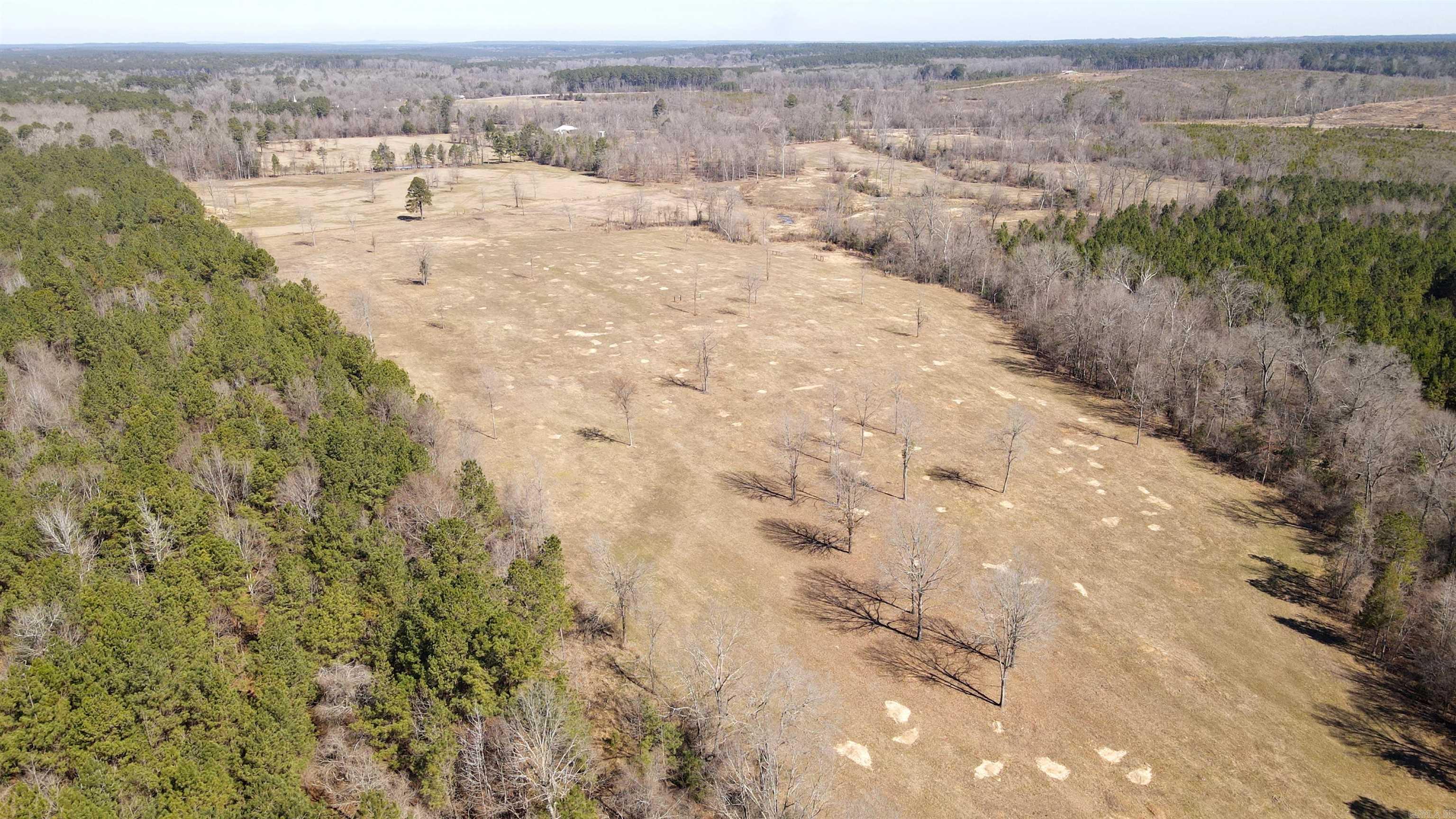 tbd 54.89 Acres N Hwy 53  Arkadelphia, AR