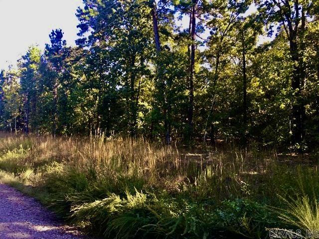 93 W South Ridge  Bigelow, AR