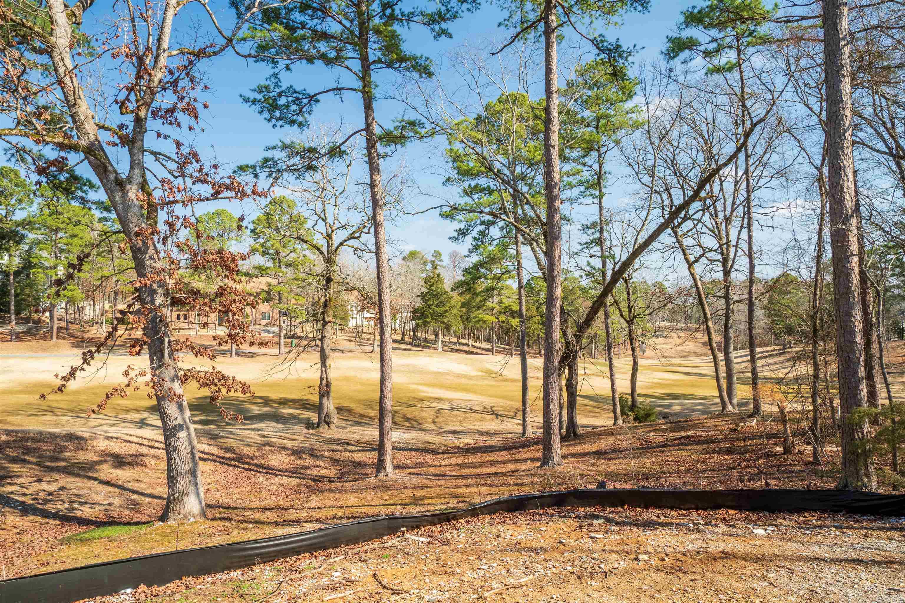 5 Brilliante Circle Hot Springs Village, AR 71909