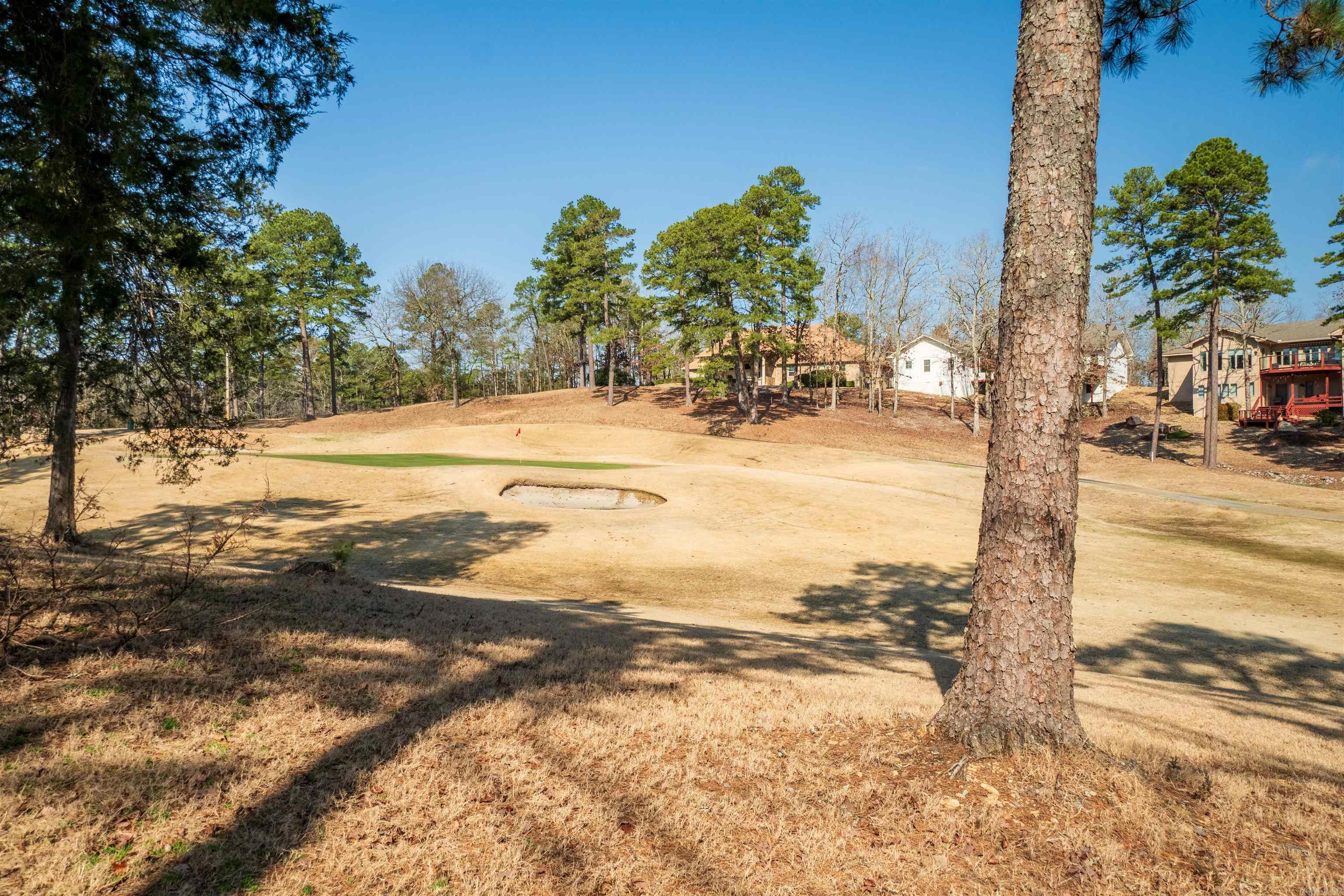 5 Brilliante Circle Hot Springs Village, AR 71909
