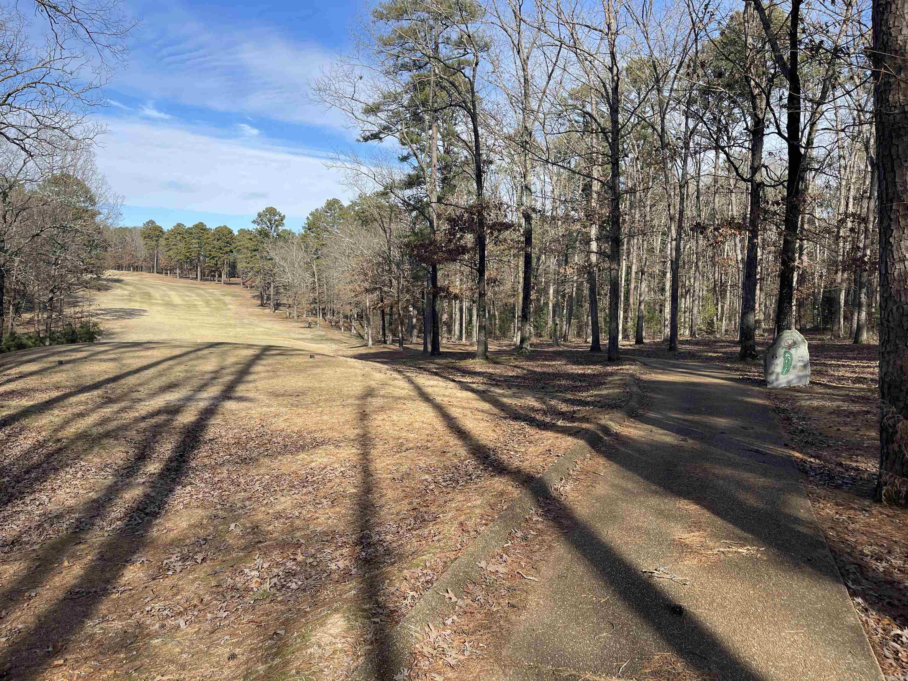 Lot 324 Deer Run Drasco, AR 72530