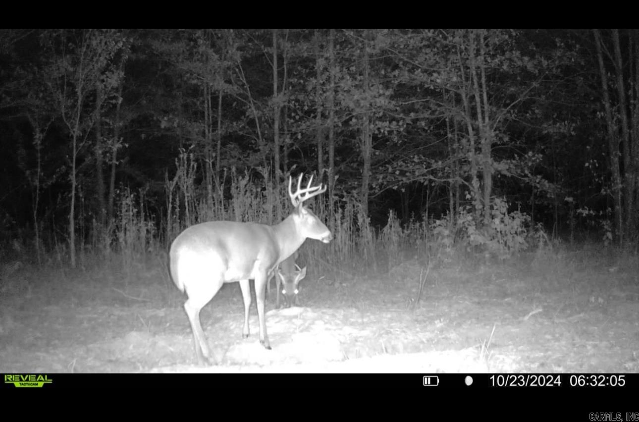 000  Alex Brown Rd  Sherrill, AR