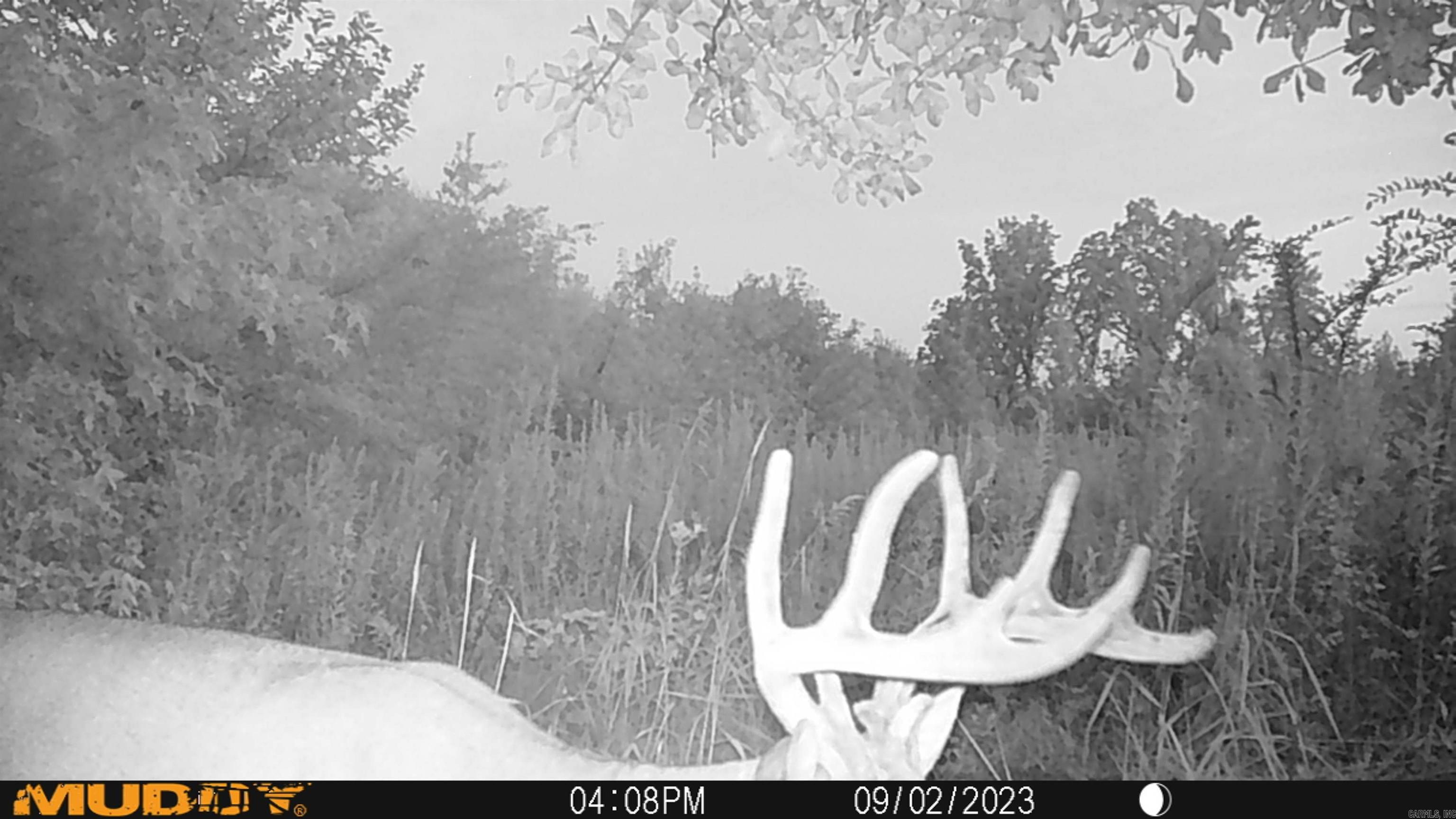 000  Alex Brown Rd  Sherrill, AR
