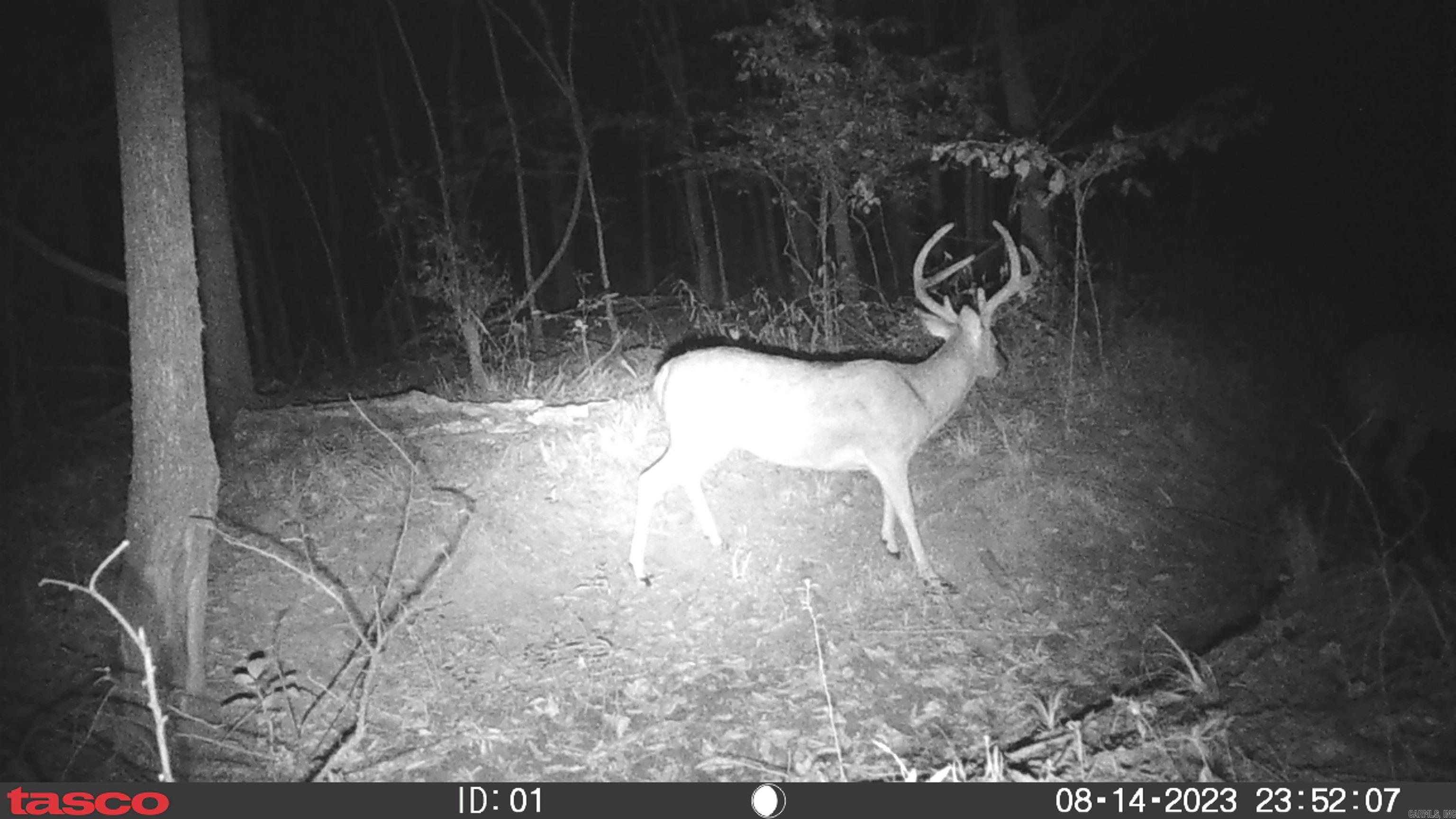 000  Alex Brown Rd  Sherrill, AR