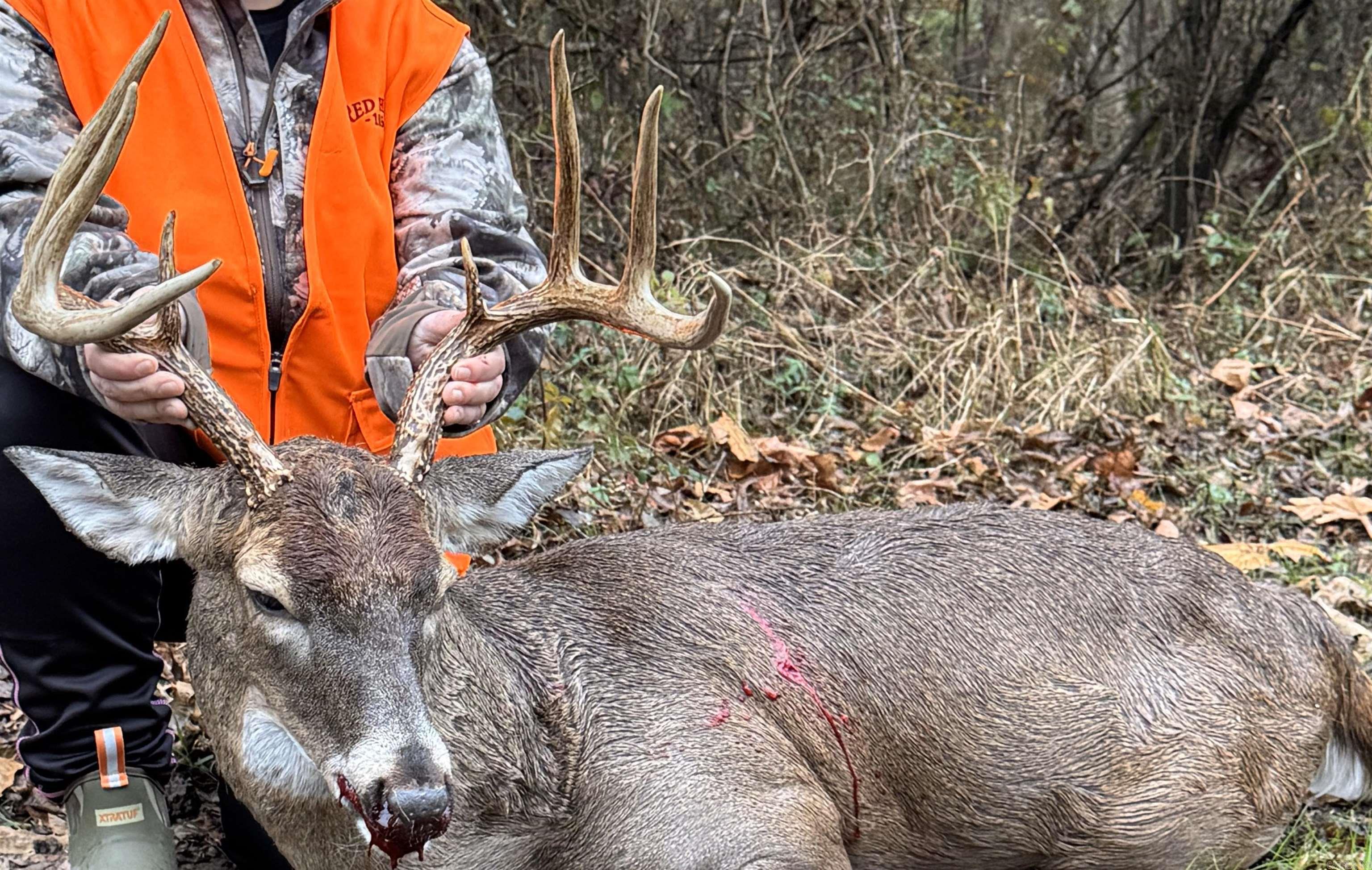 000  Alex Brown Rd  Sherrill, AR