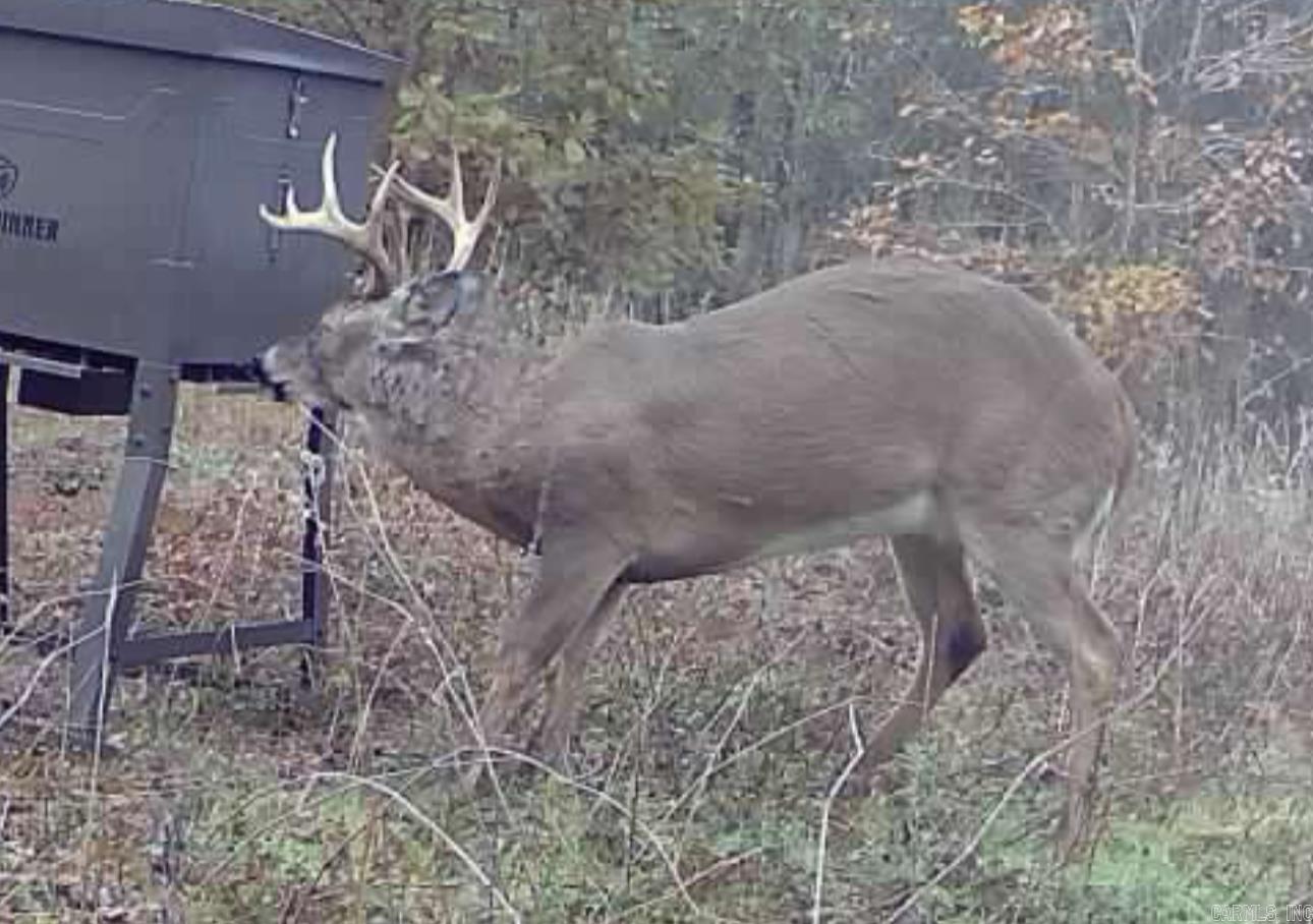 000  Alex Brown Rd  Sherrill, AR