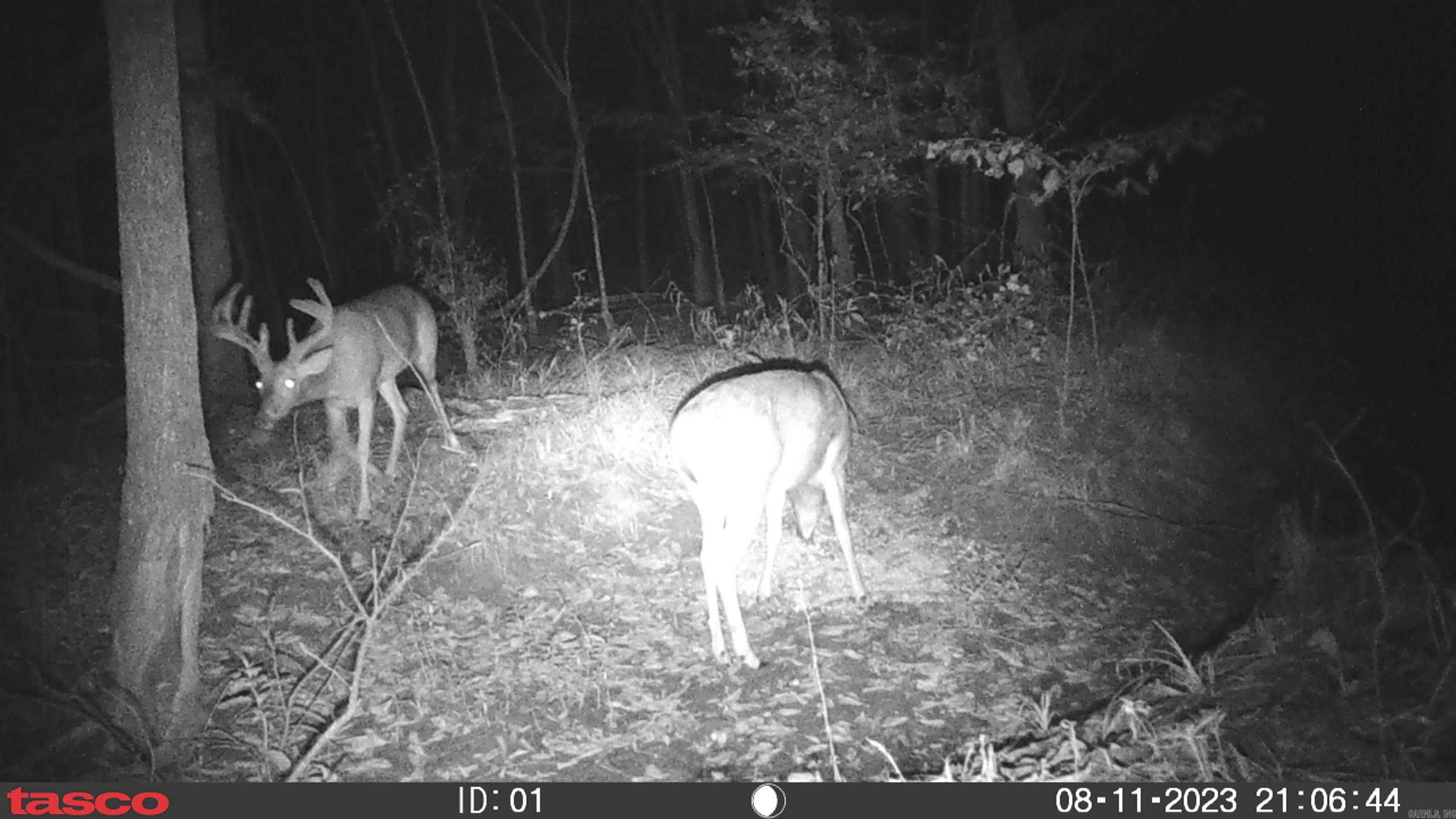 000  Alex Brown Rd  Sherrill, AR