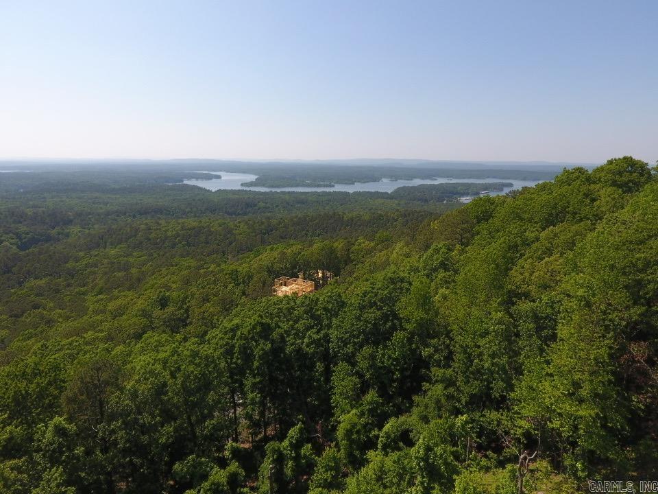12  Lakeview  Mount Ida, AR
