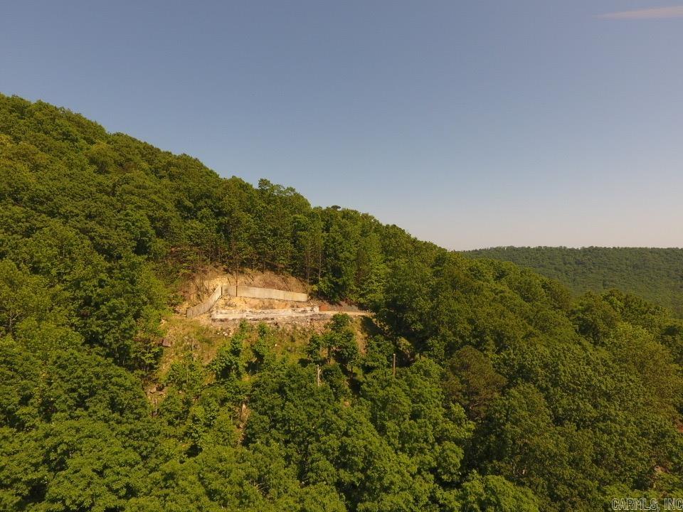 12  Lakeview  Mount Ida, AR