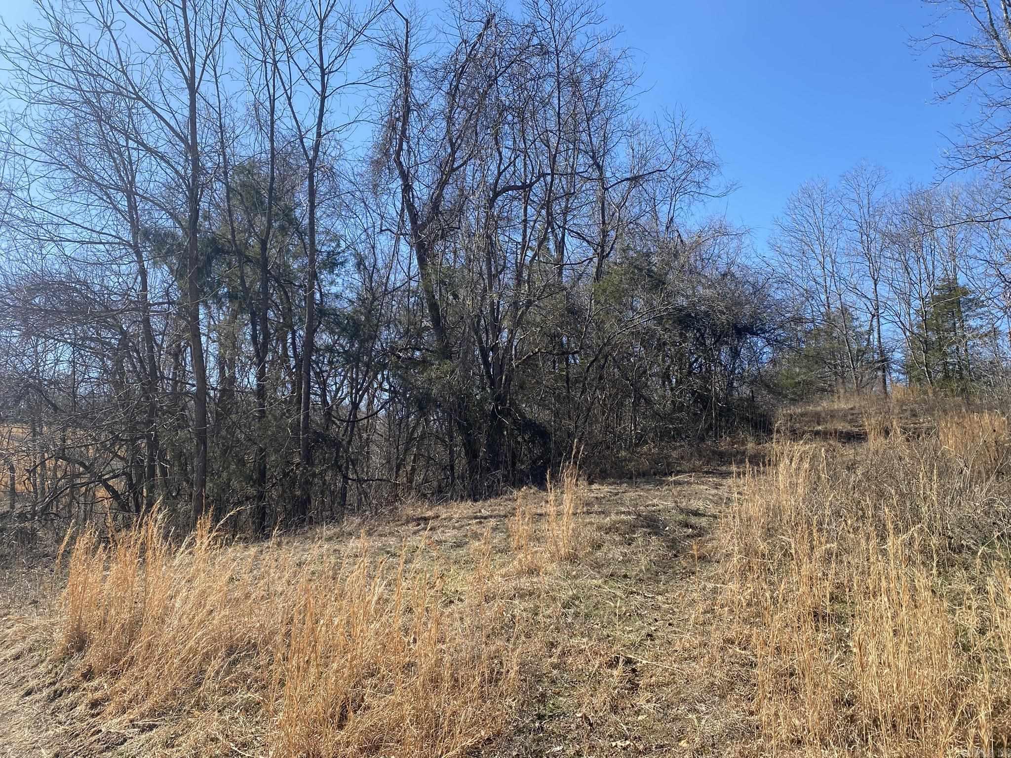 31100 N Hwy 263N  Timbo, AR
