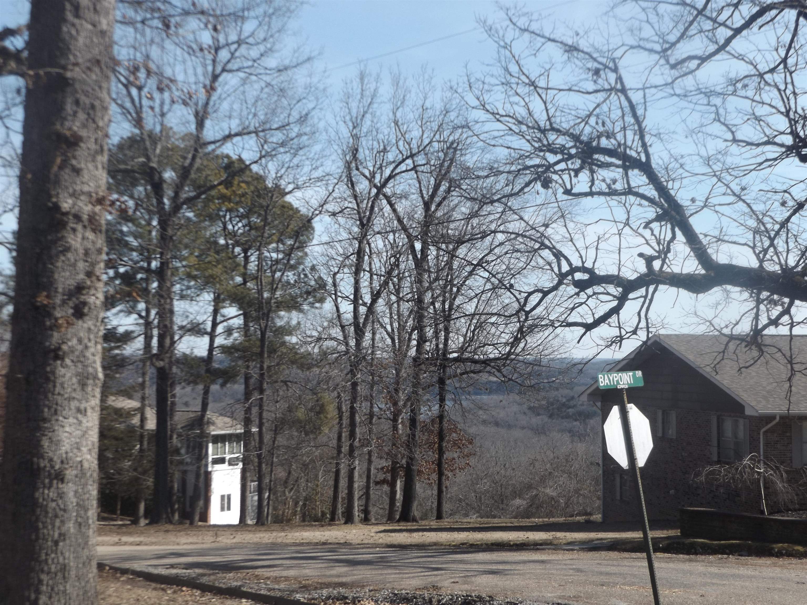 82 Baypoint Drive Mountain Home, AR 72653