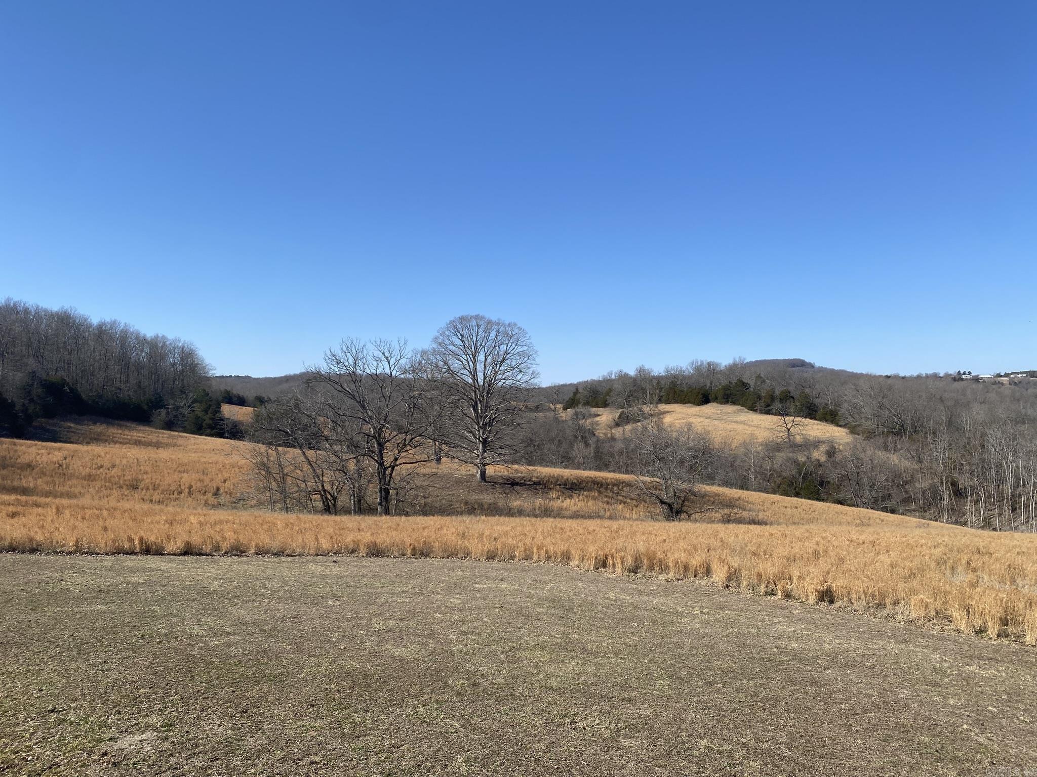 31025 N Hwy 263  Timbo, AR