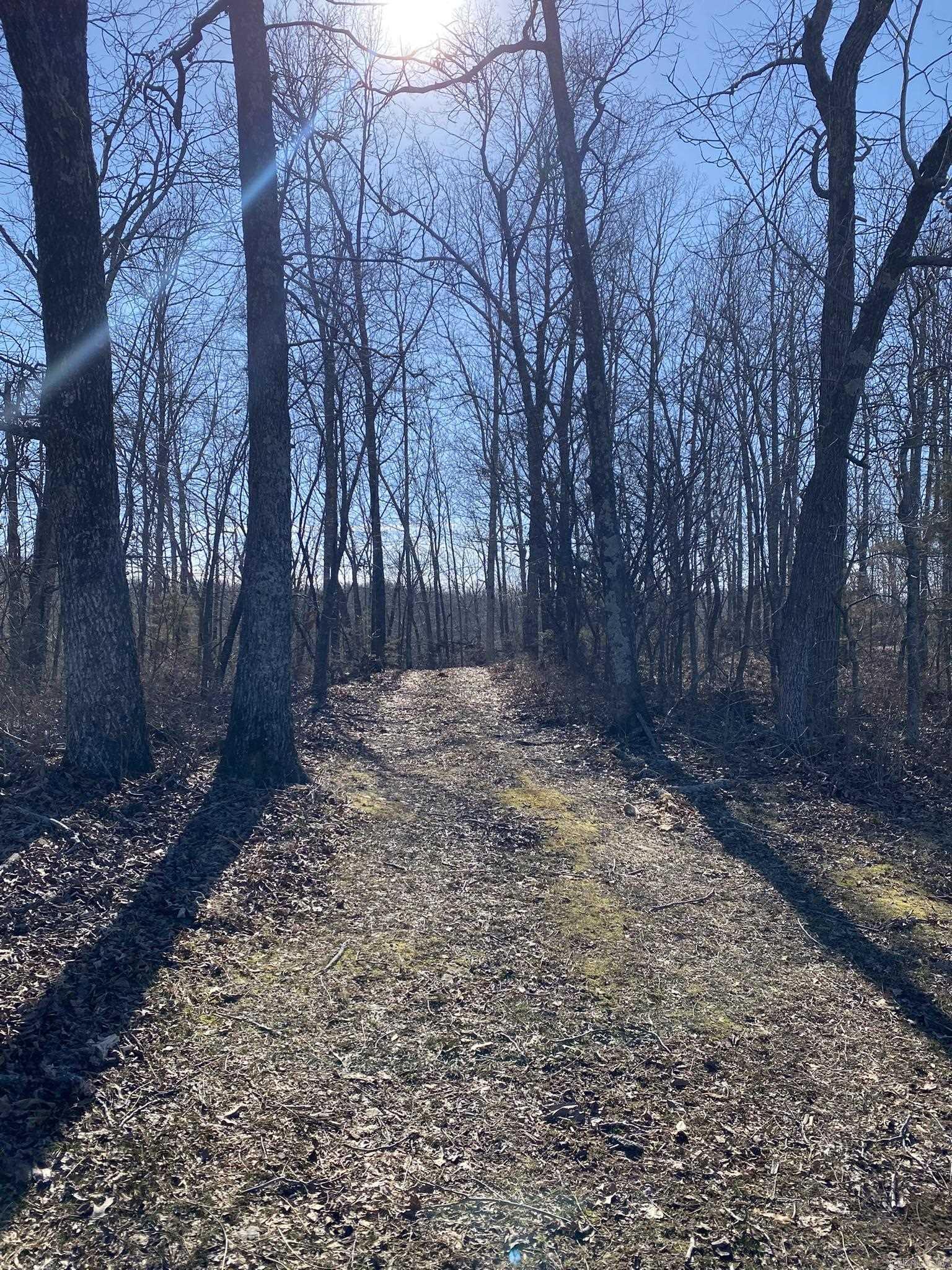 31025 N Hwy 263  Timbo, AR