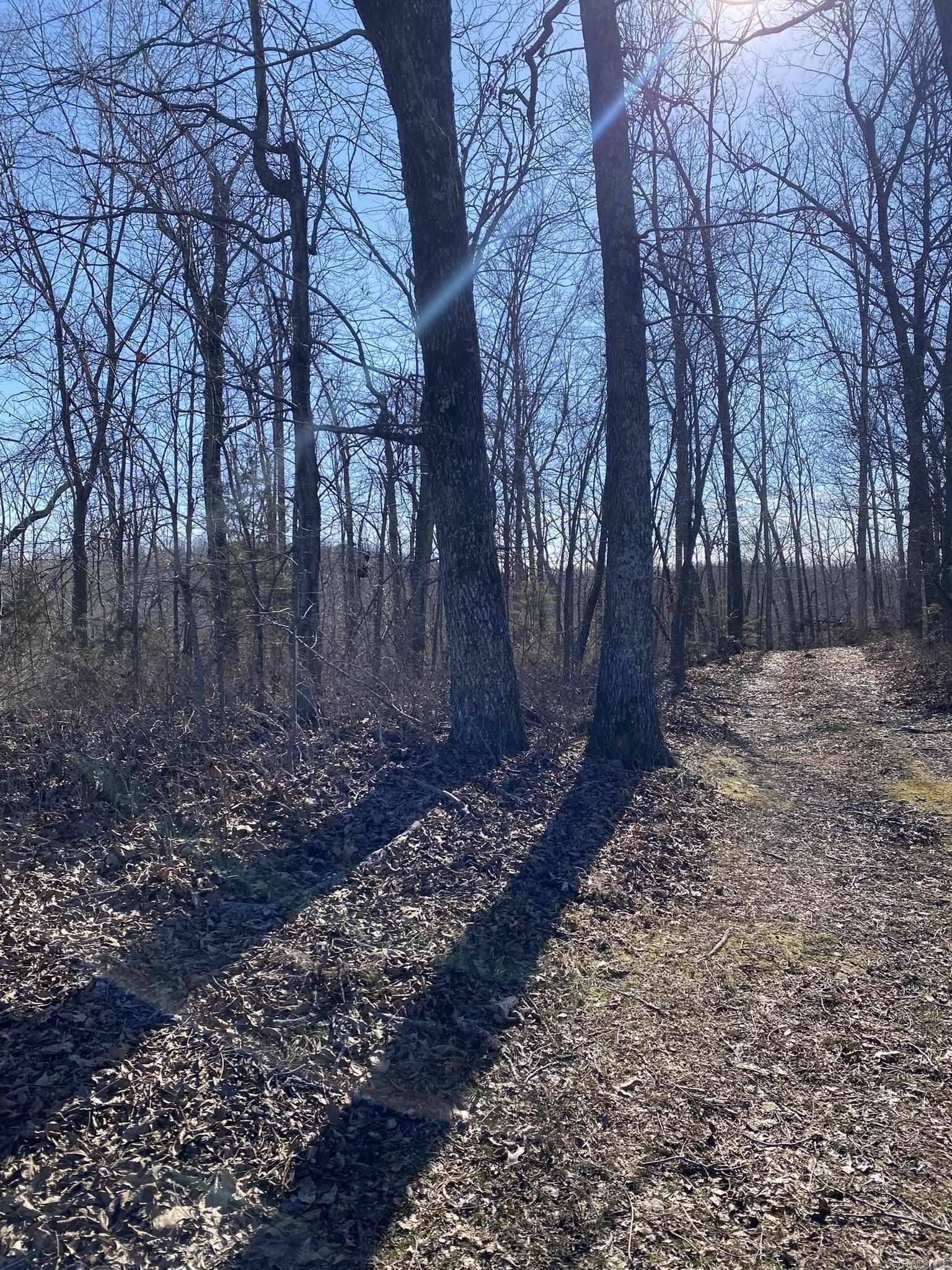 31025 N Hwy 263  Timbo, AR