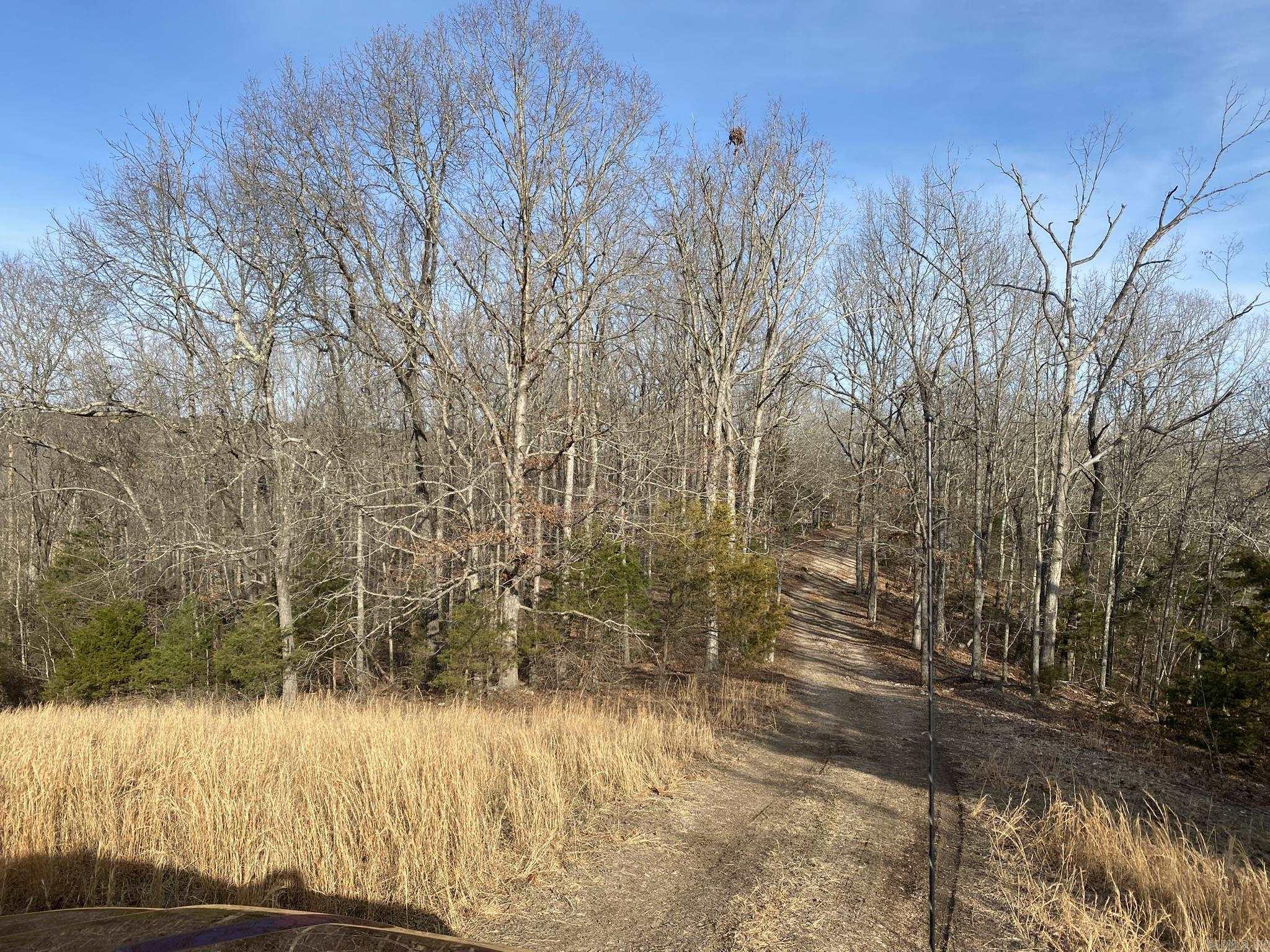 000  King Road  Timbo, AR
