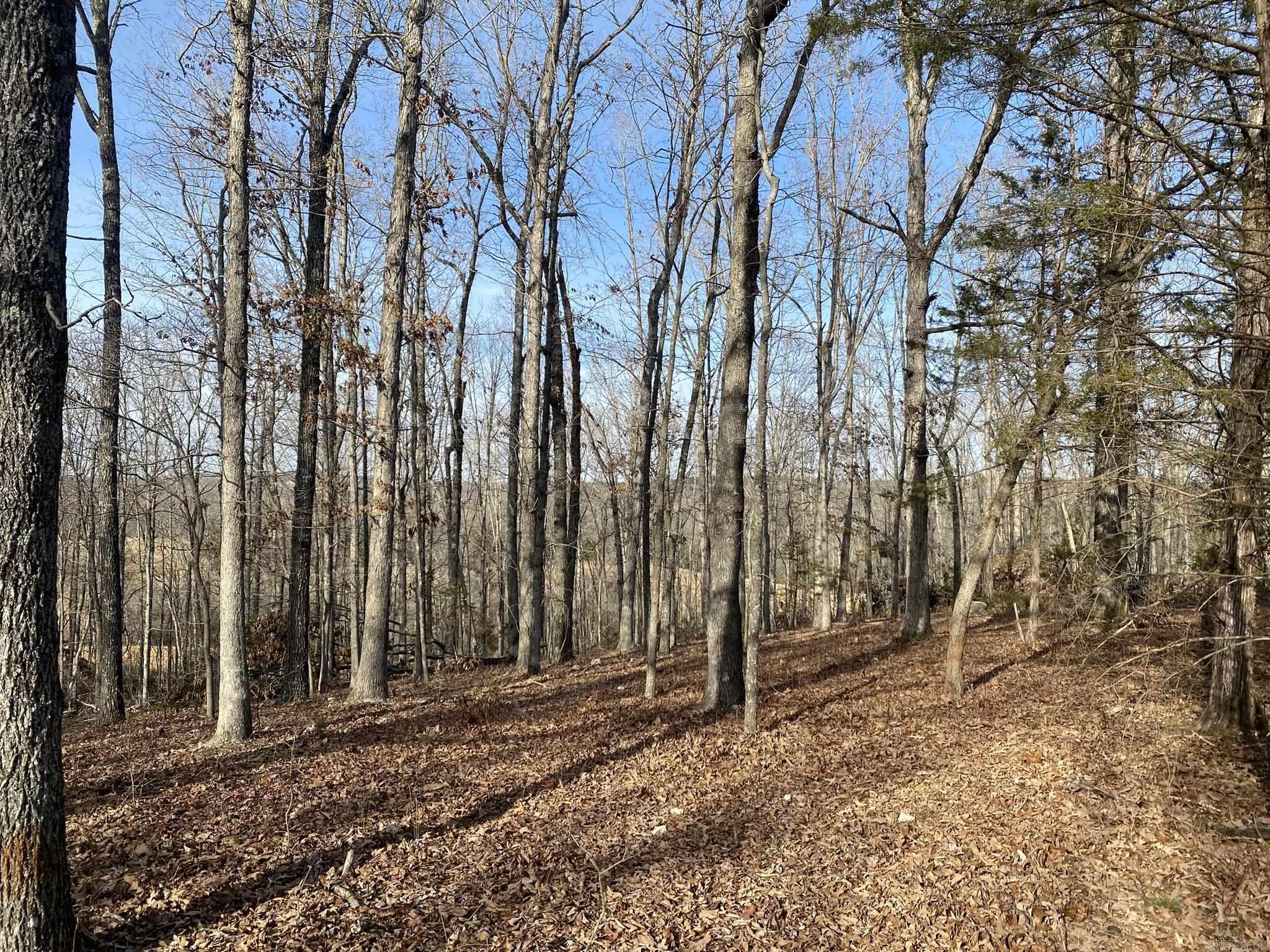 000  King Road  Timbo, AR