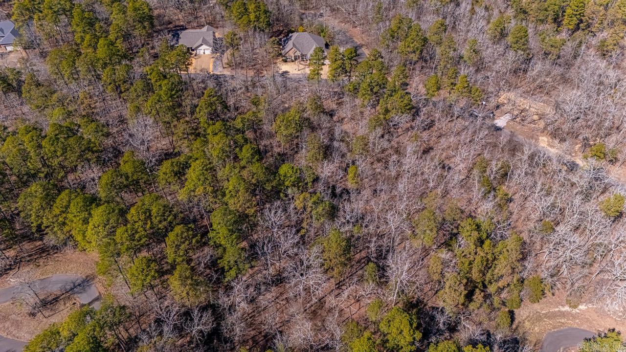 48  Campeon  Hot Springs Village, AR