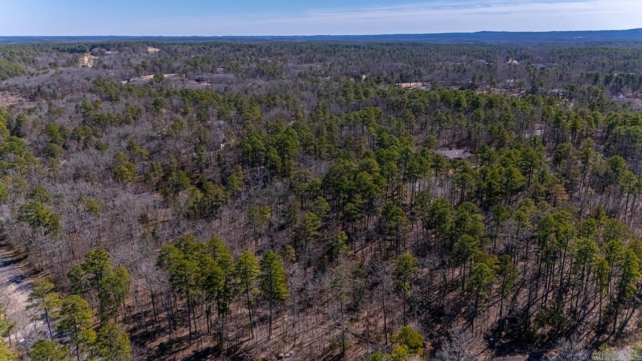 48  Campeon  Hot Springs Village, AR