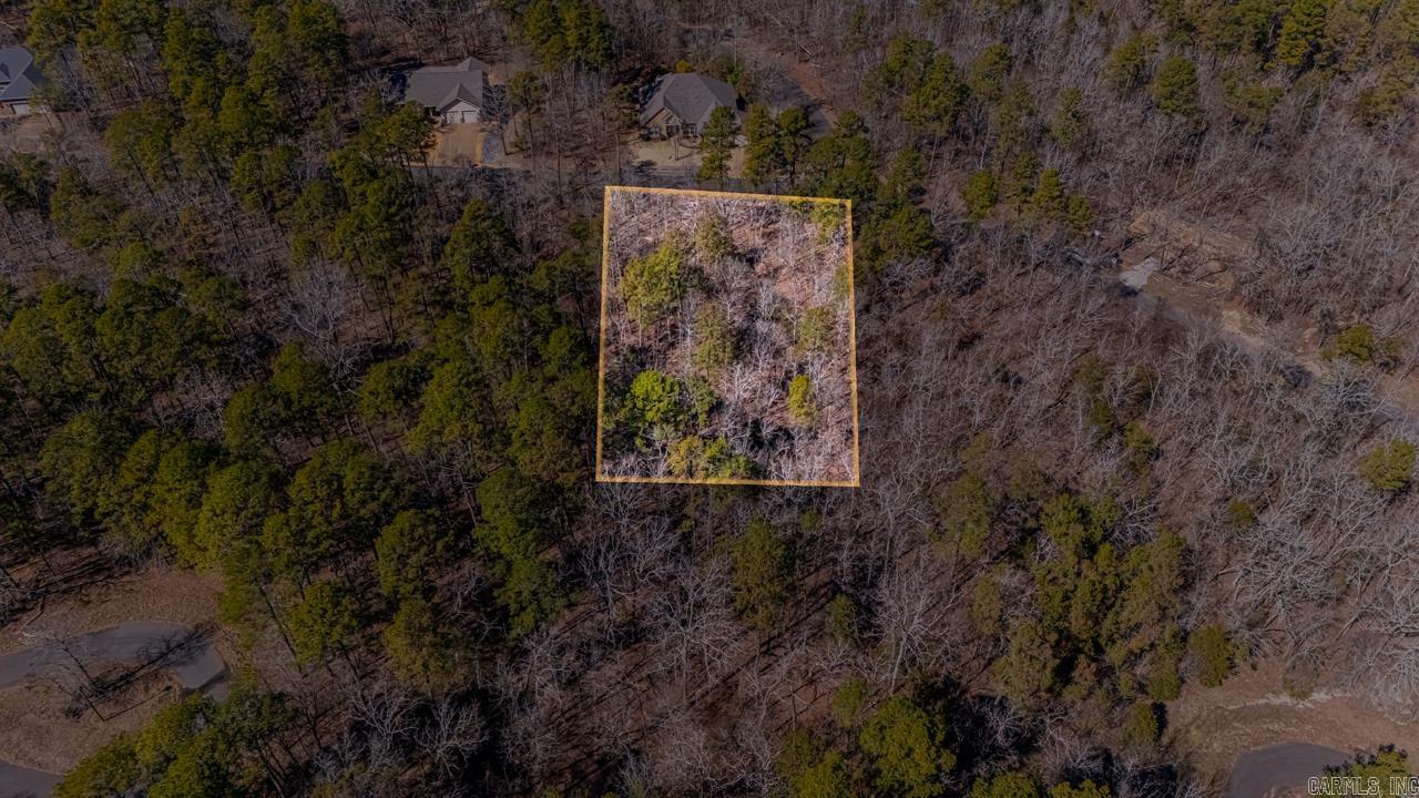 48  Campeon  Hot Springs Village, AR