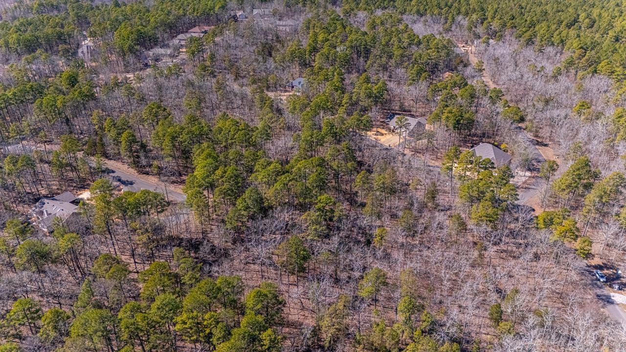 48  Campeon  Hot Springs Village, AR