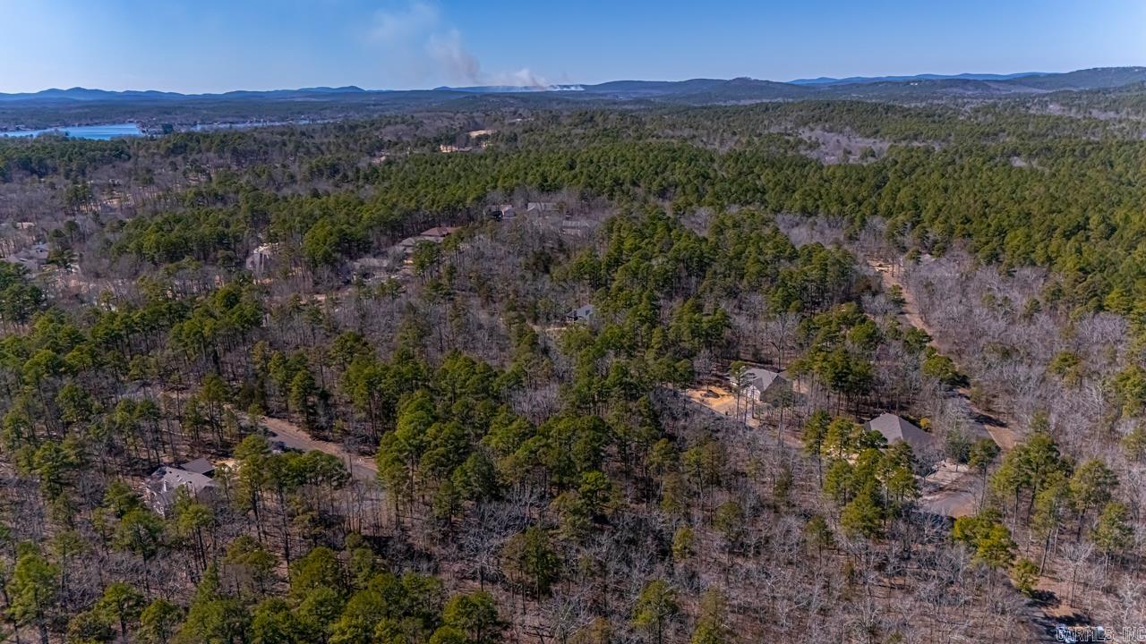 48  Campeon  Hot Springs Village, AR