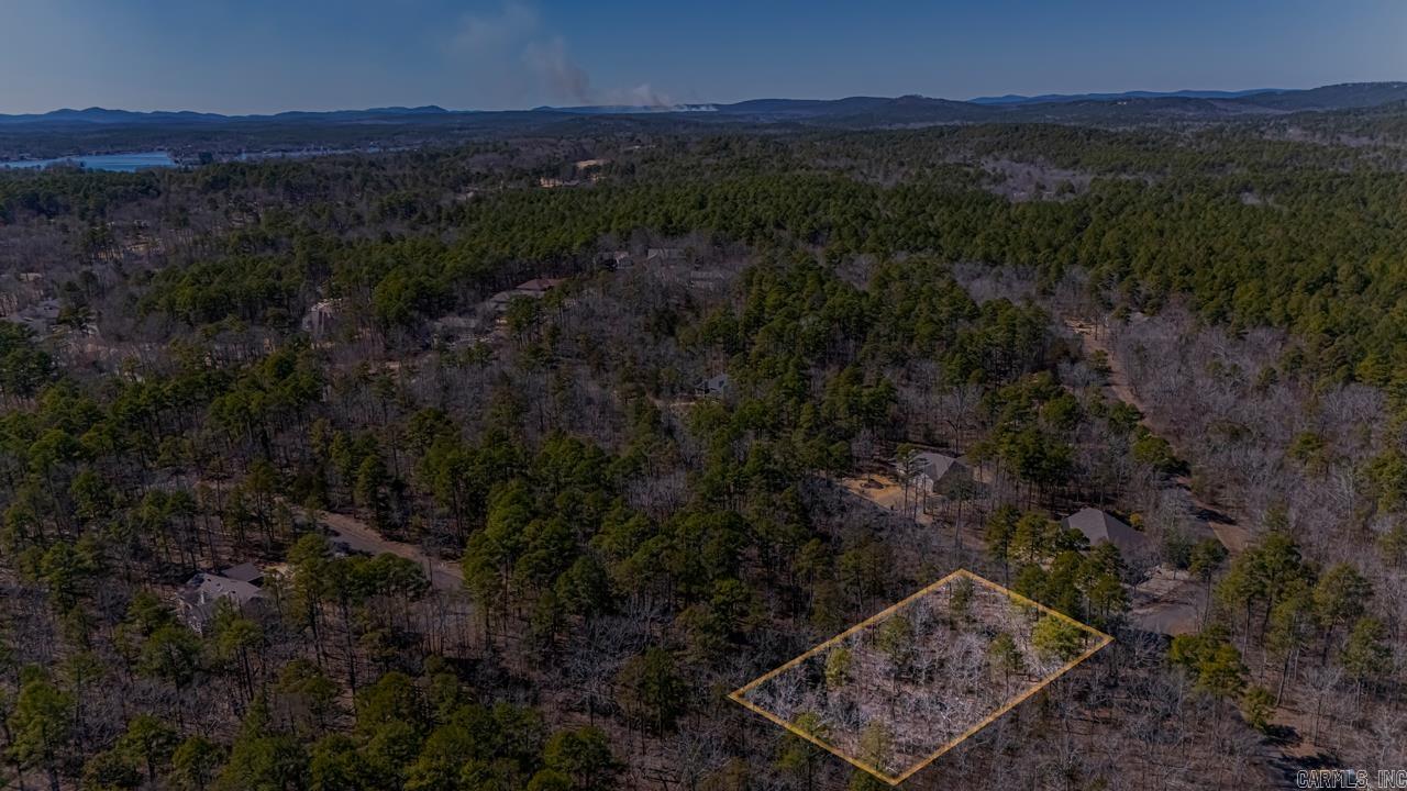 48  Campeon  Hot Springs Village, AR