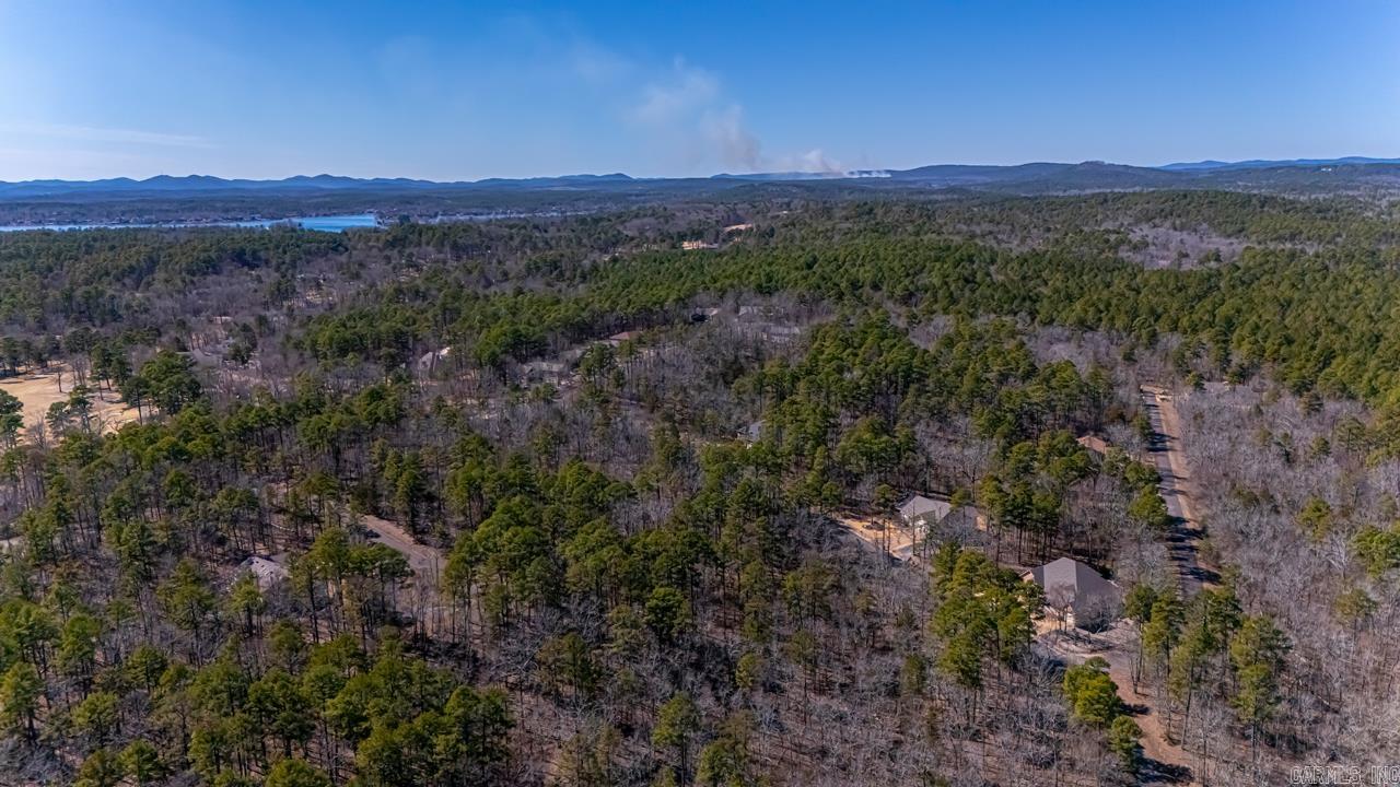 48  Campeon  Hot Springs Village, AR