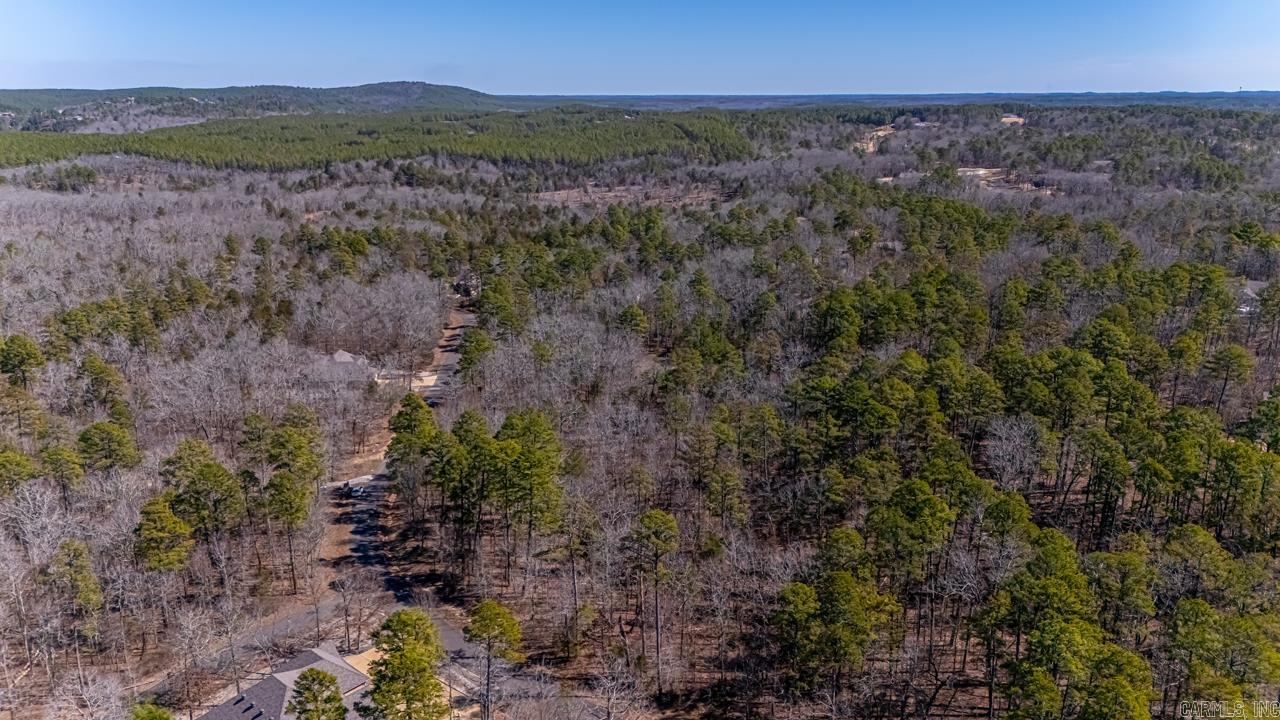 48  Campeon  Hot Springs Village, AR