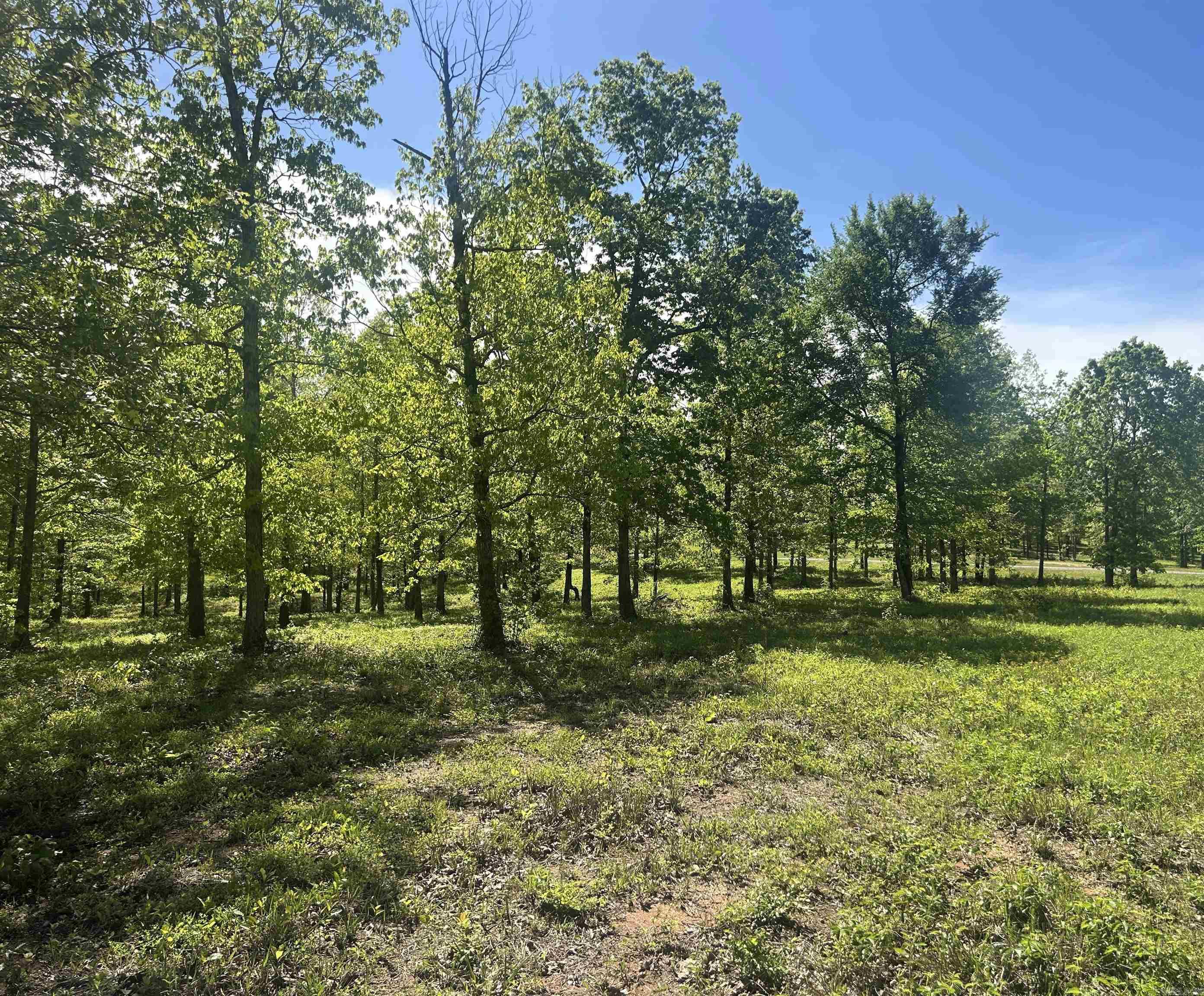 Lot 1  Grant County Road 762  Sheridan, AR