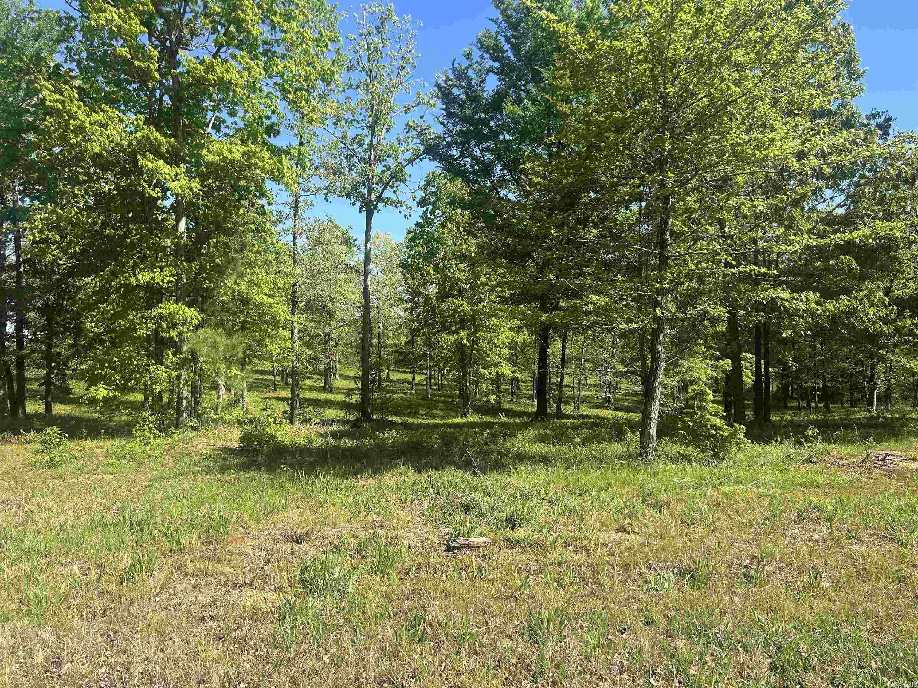Lot 1  Grant County Road 762  Sheridan, AR