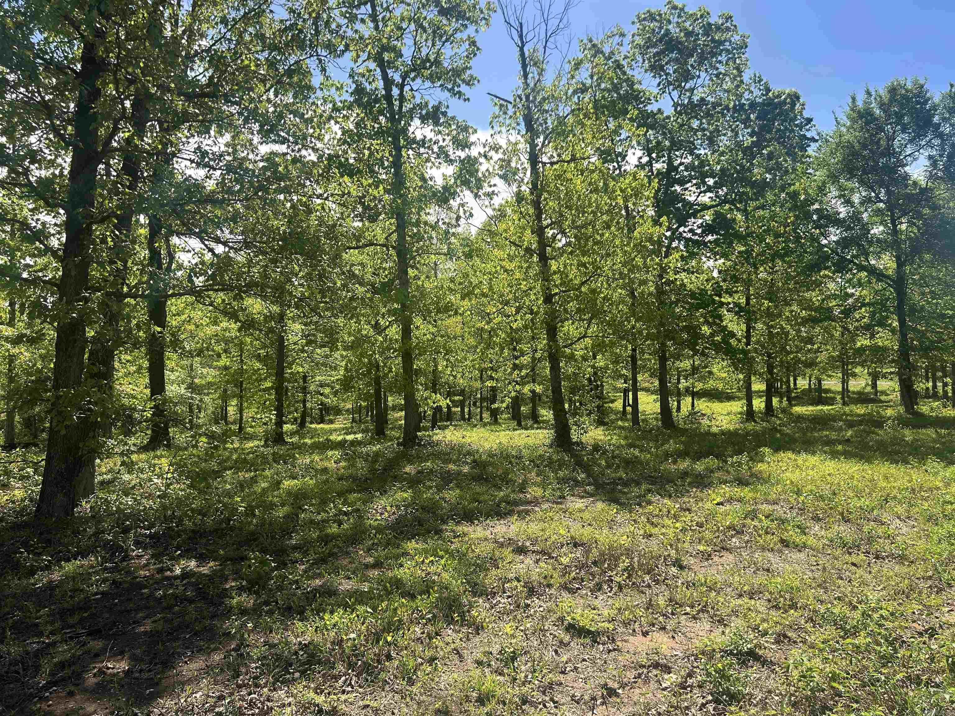 Lot 1  Grant County Road 762  Sheridan, AR