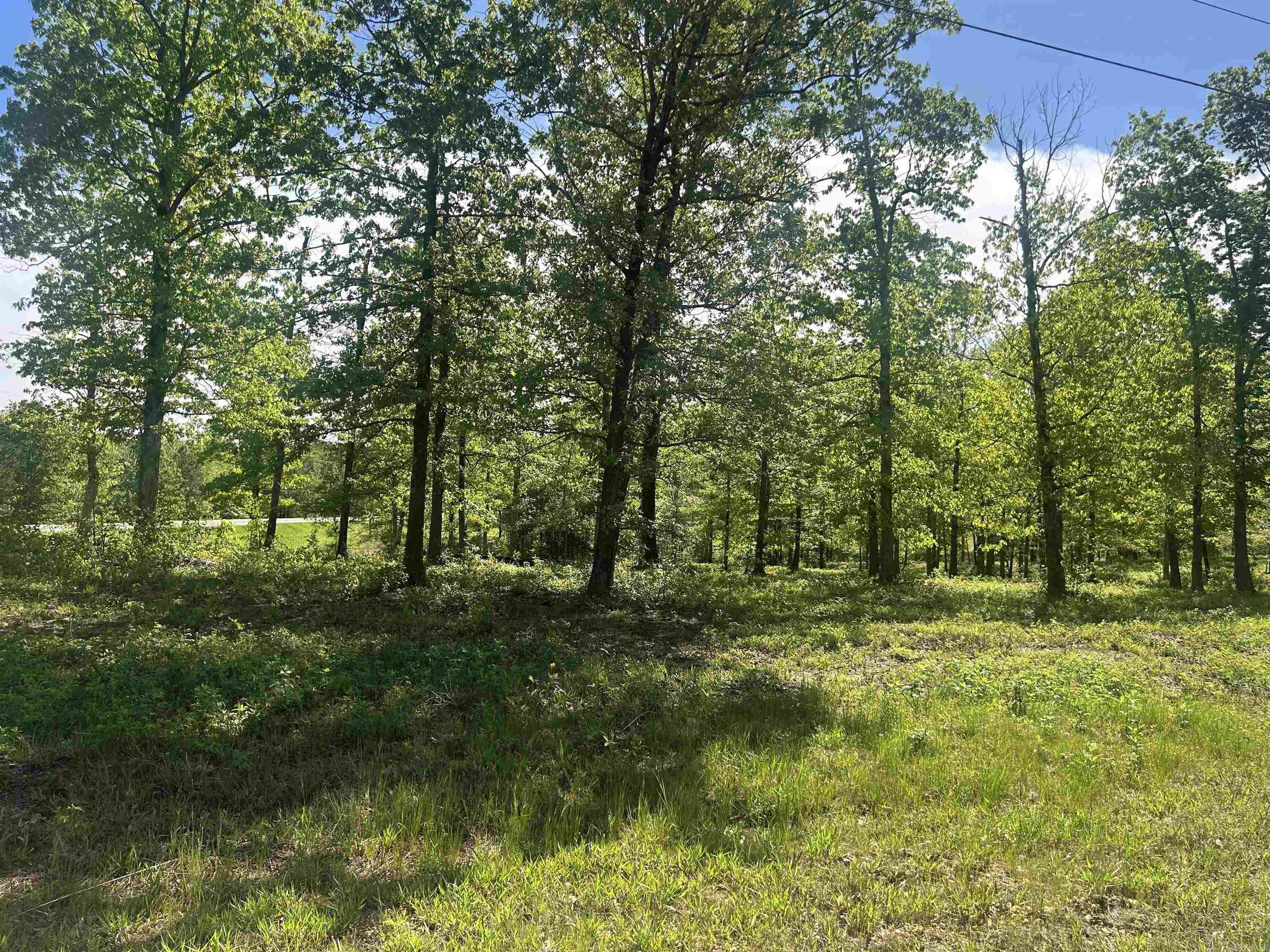 Lot 1  Grant County Road 762  Sheridan, AR