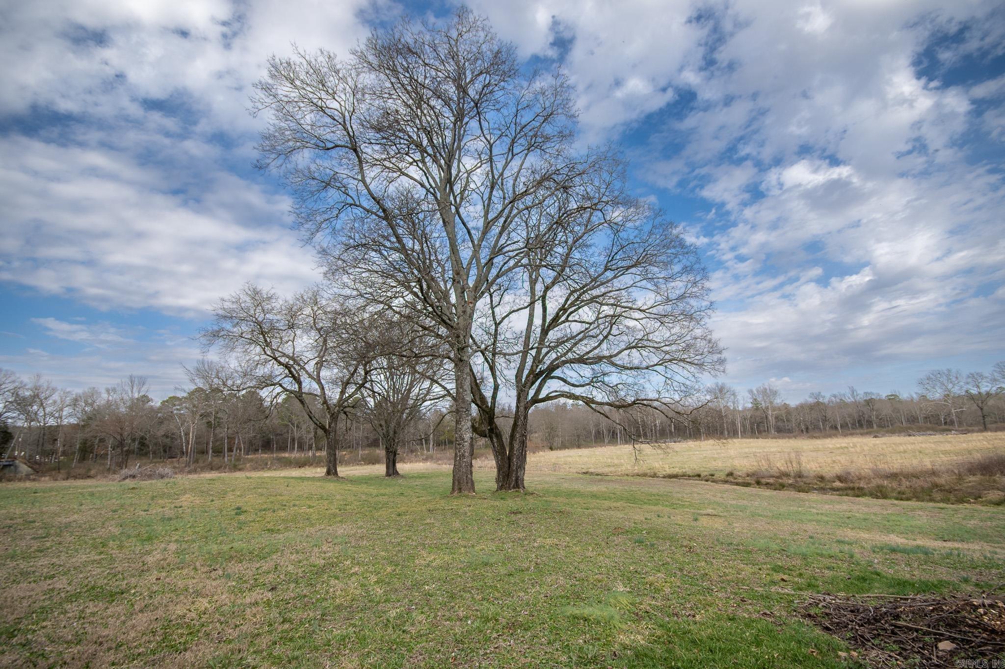 Confidential  Polk Road 37  Mena, AR