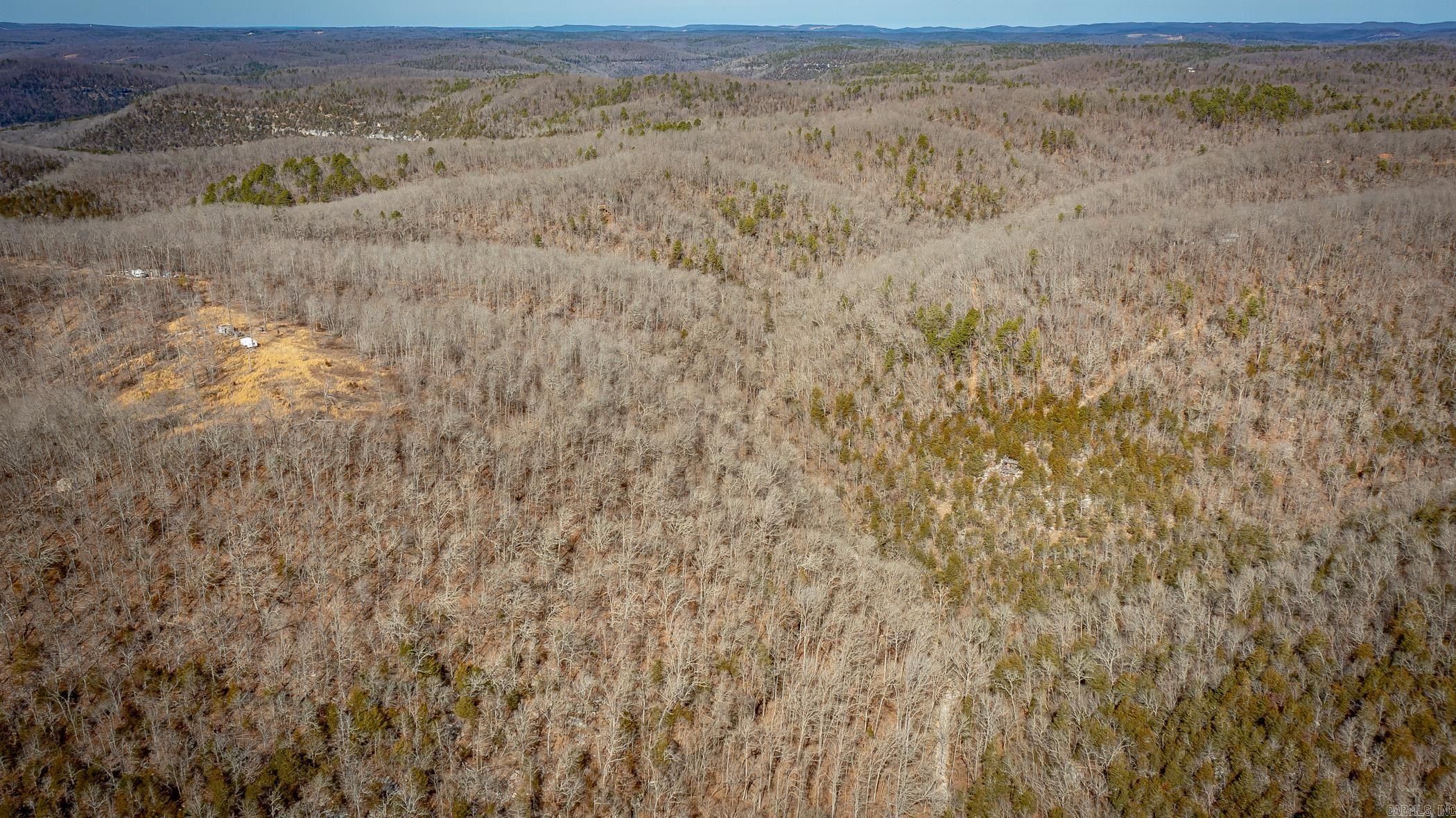 00  Bear Skin  Harriet, AR