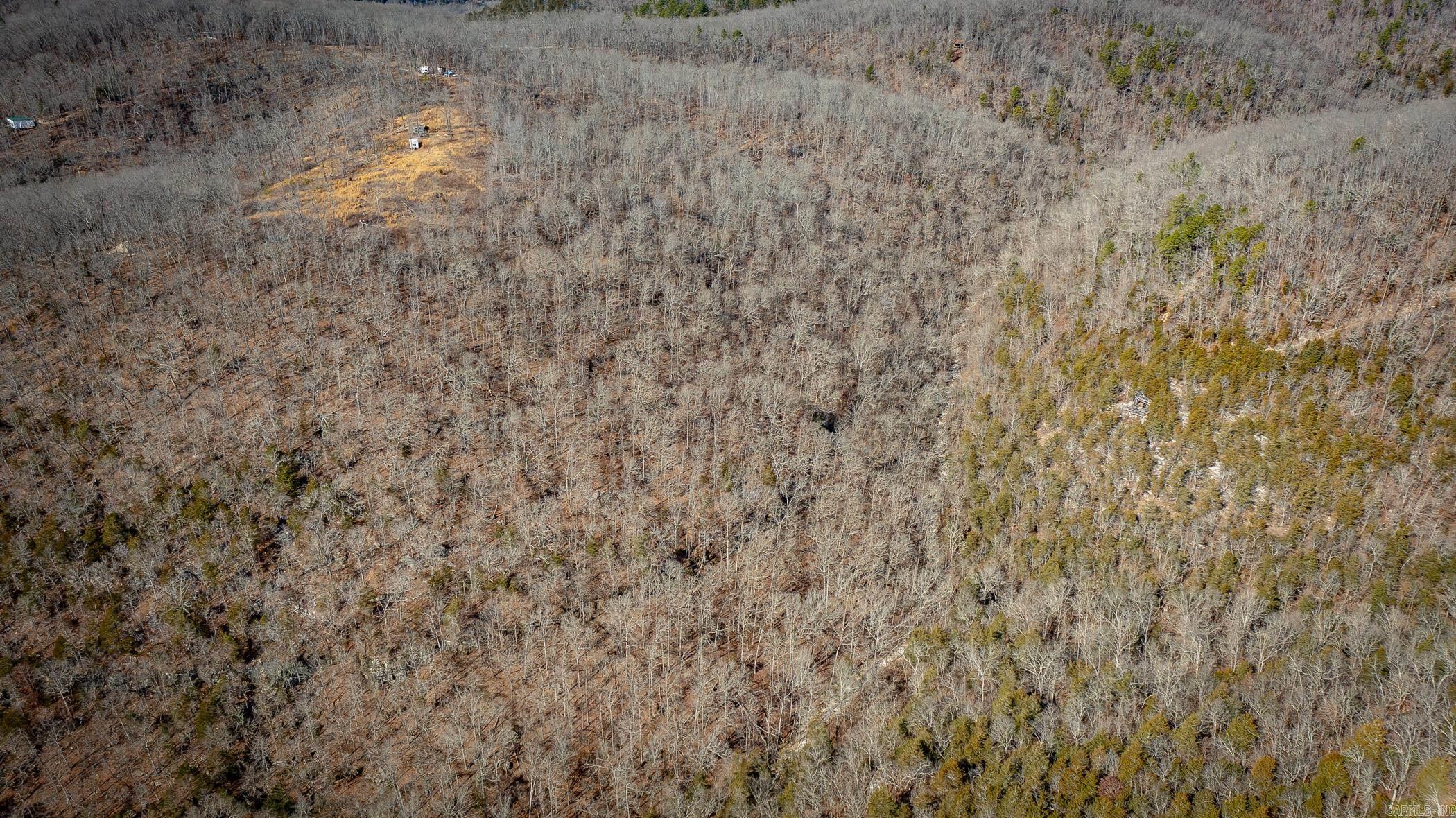 00  Bear Skin  Harriet, AR