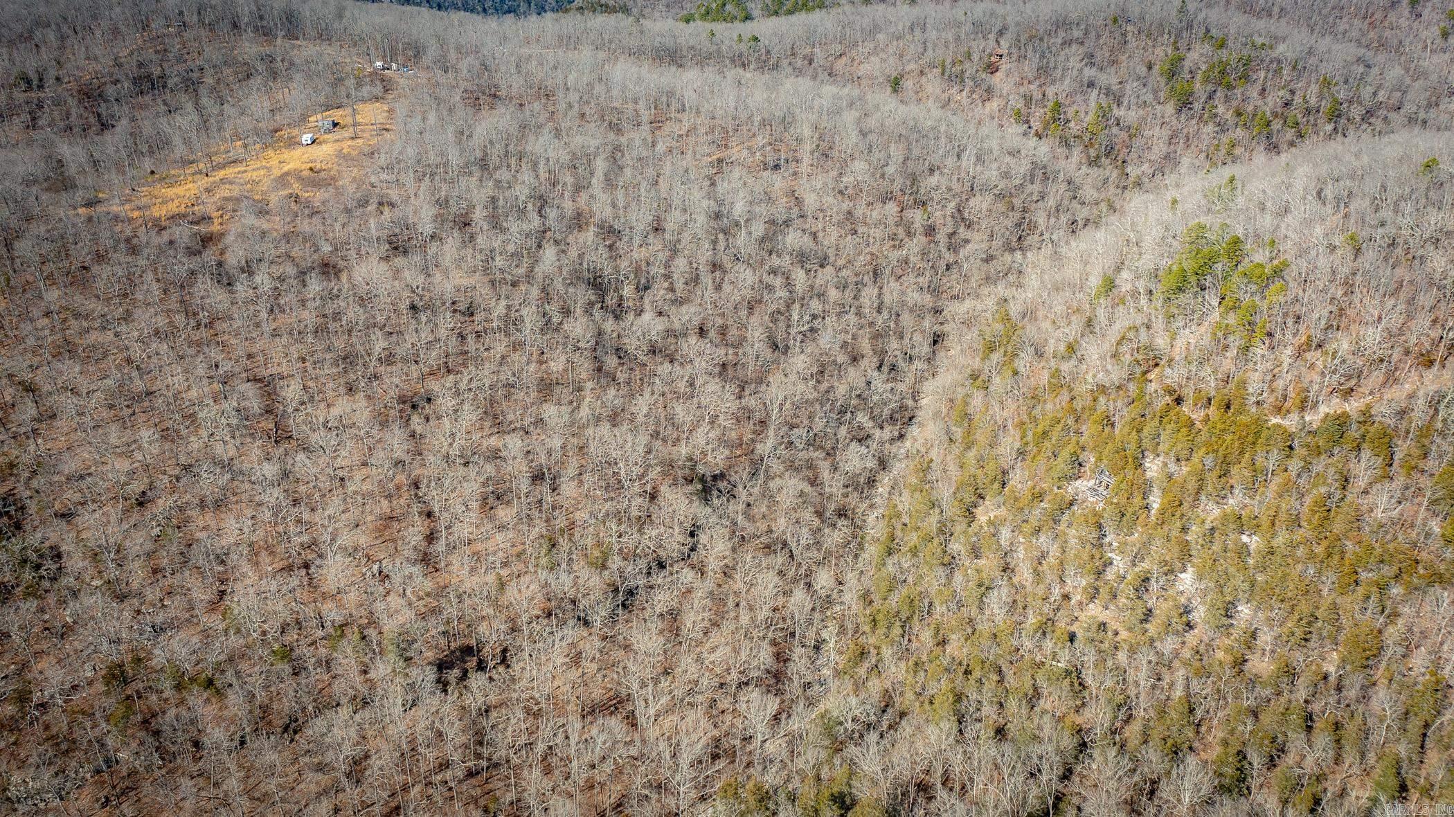 00  Bear Skin  Harriet, AR