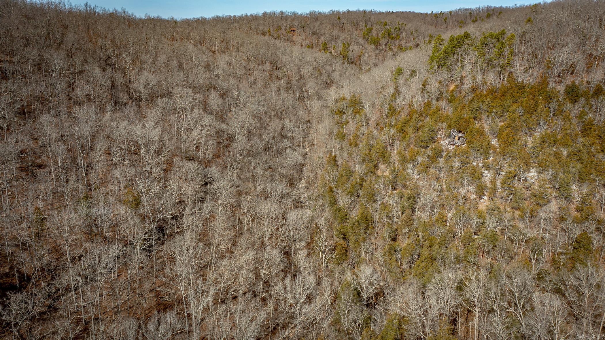 00  Bear Skin  Harriet, AR