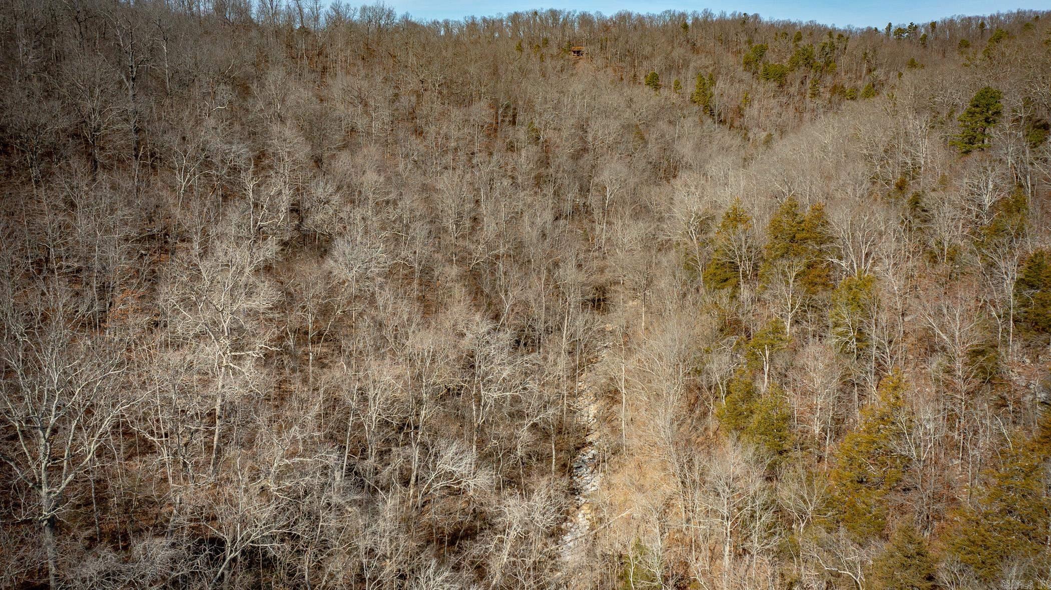00  Bear Skin  Harriet, AR