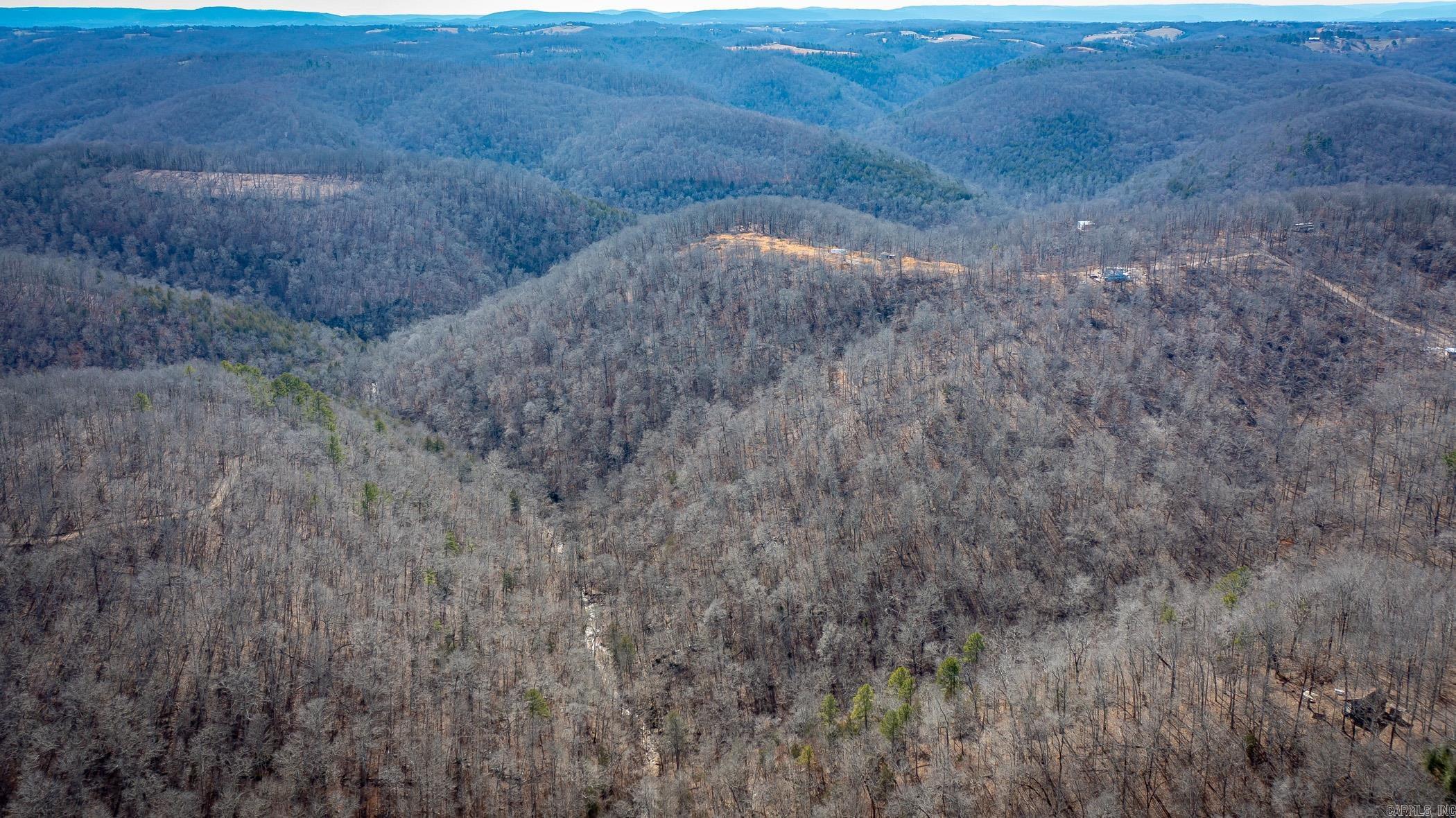 00  Bear Skin  Harriet, AR