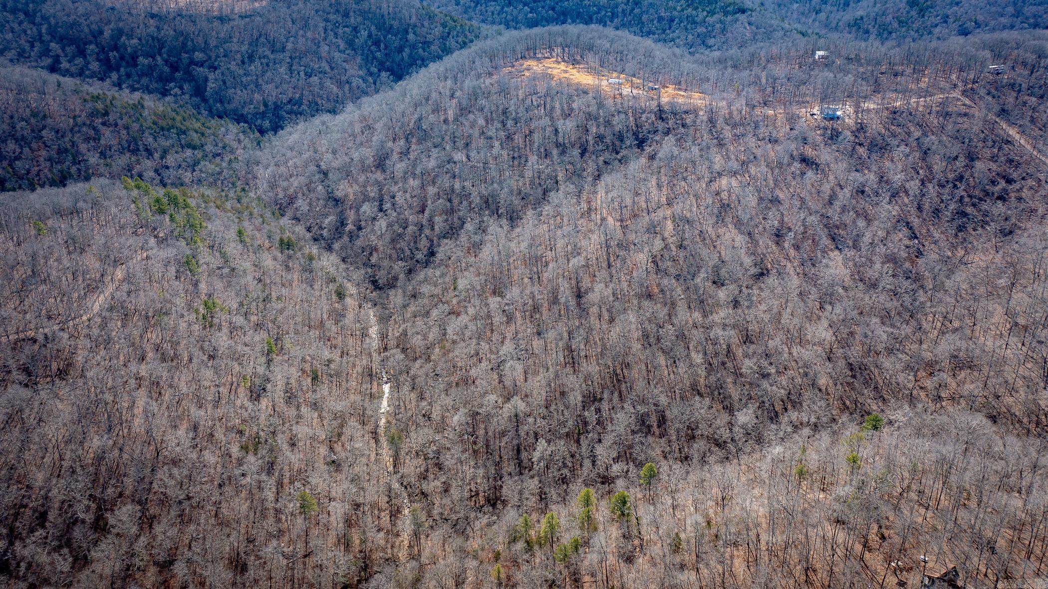 00  Bear Skin  Harriet, AR