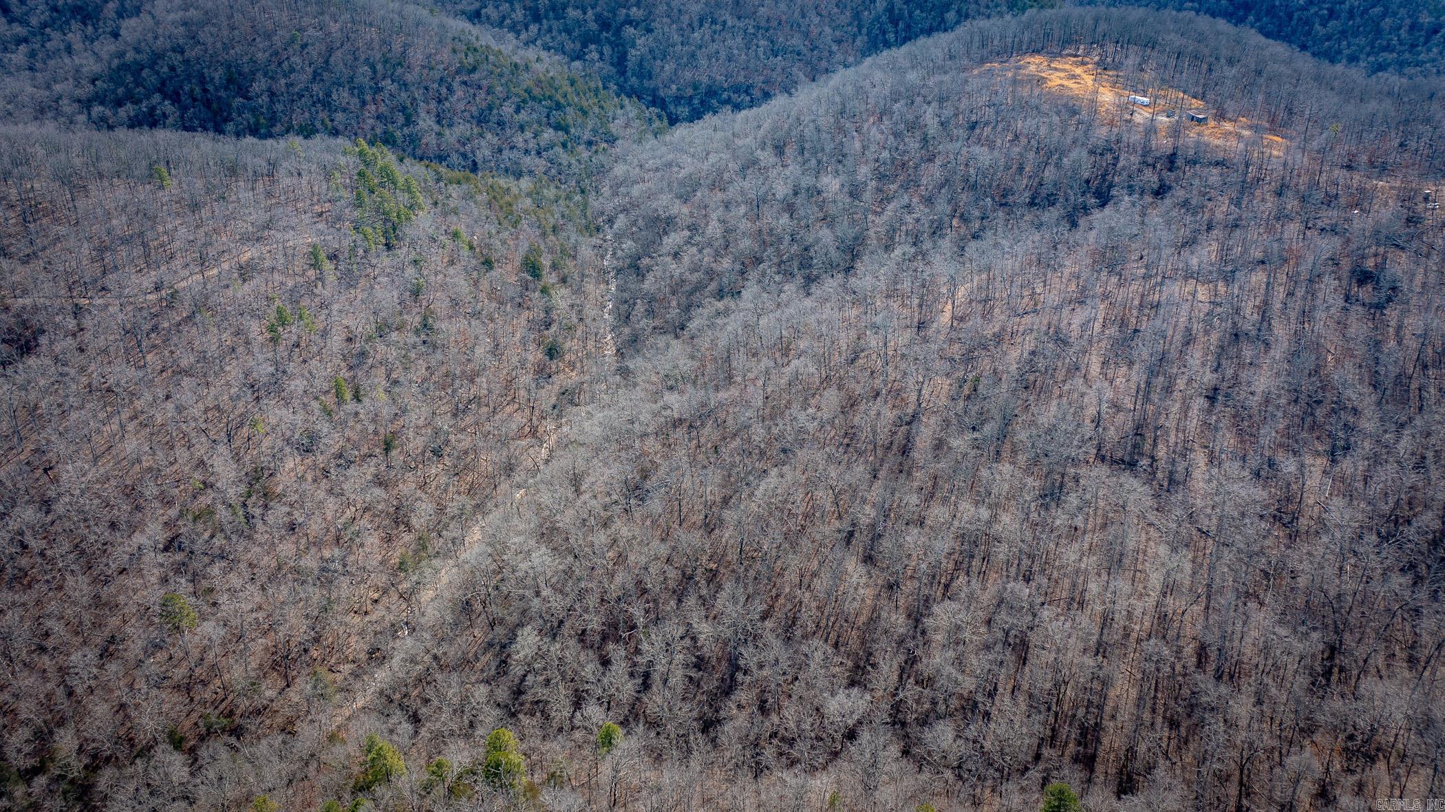 00  Bear Skin  Harriet, AR