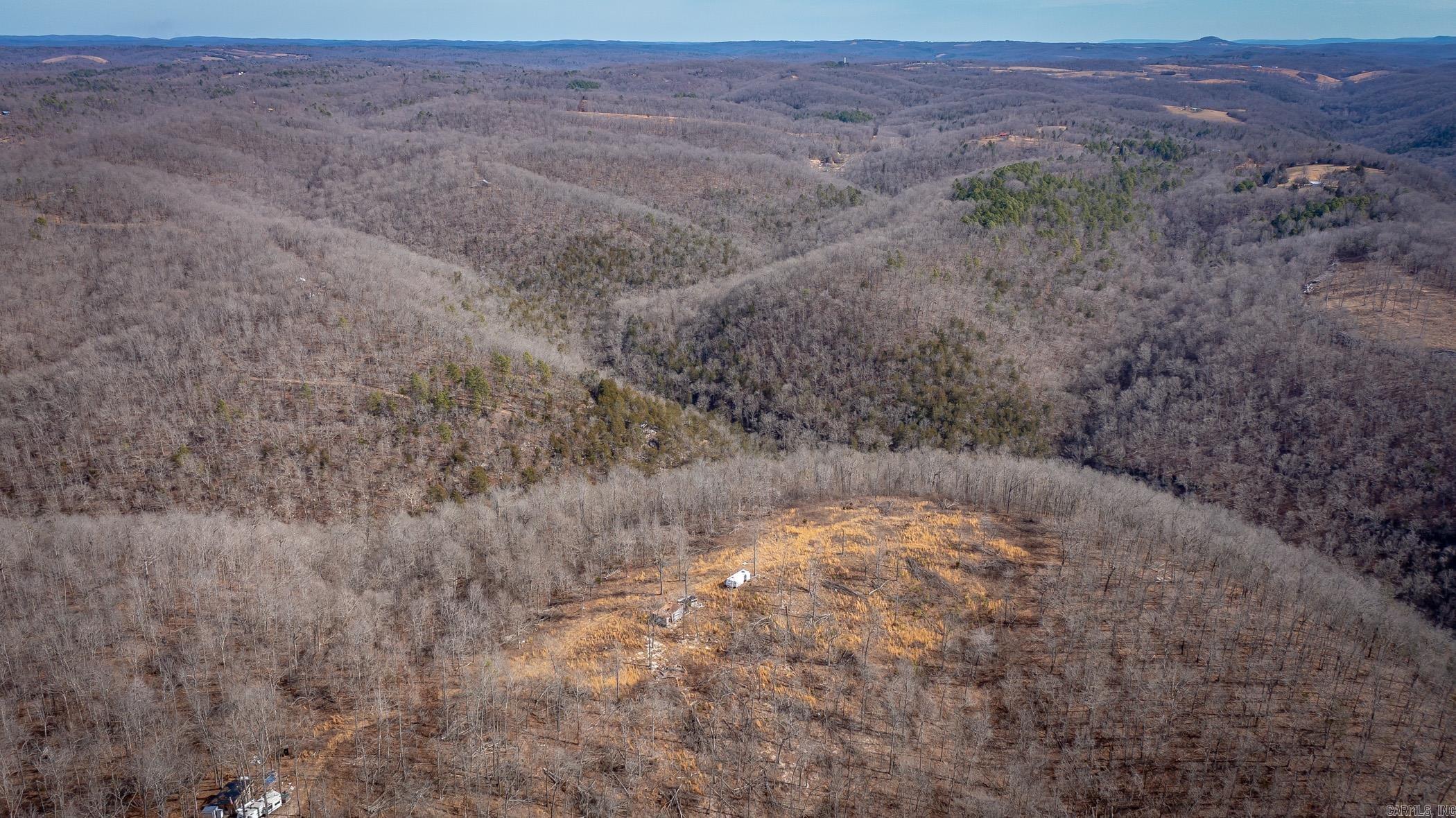 00  Bear Skin  Harriet, AR